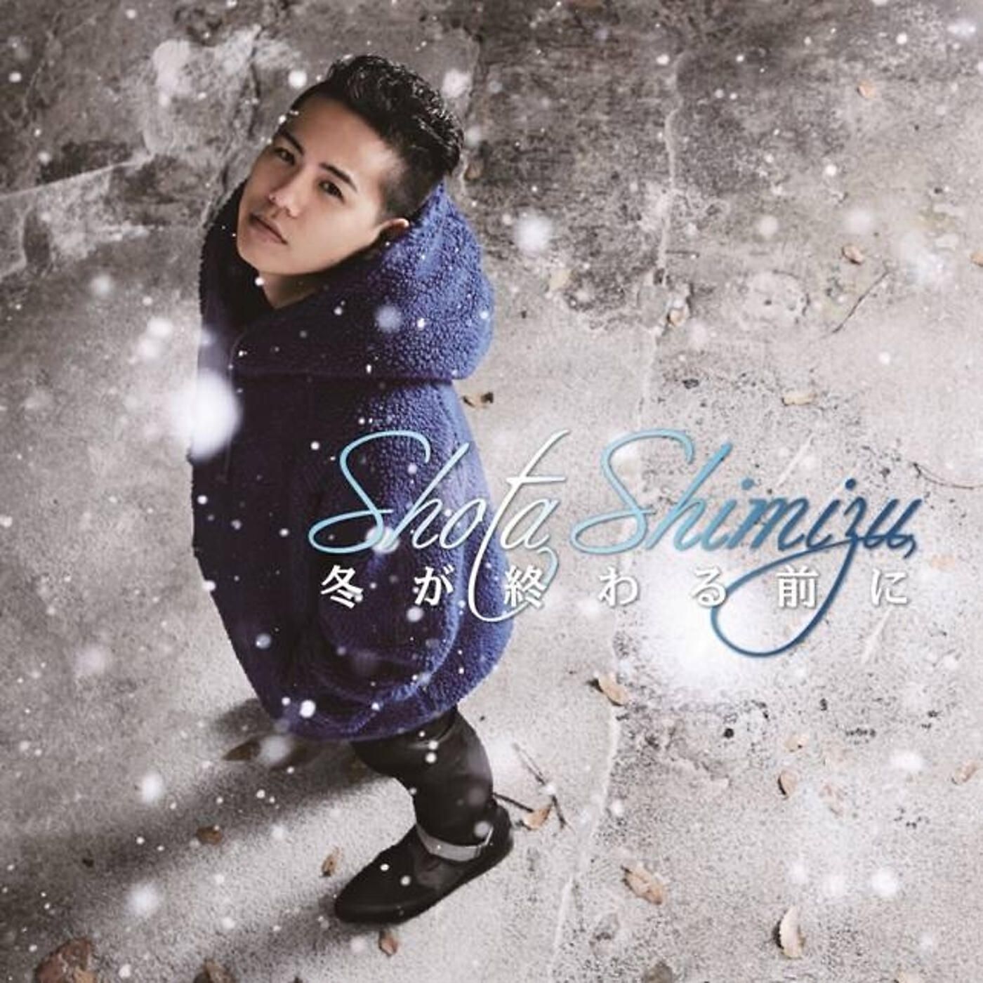 Shota Shimizu - Fuyu Ga Owaru Mae Ni (Instrumental)