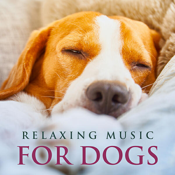Dog Music - Peaceful Piano Music for Dogs