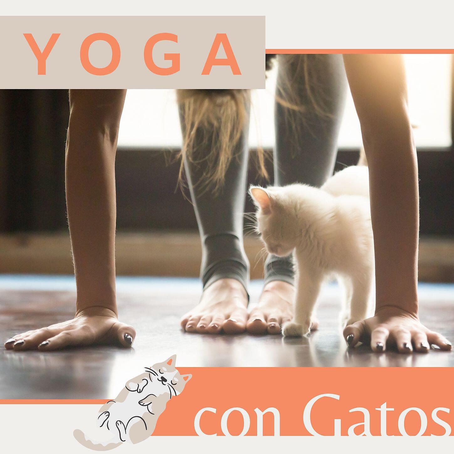 Hatha Yoga Maestro - Tono Milagroso de 432 Hz