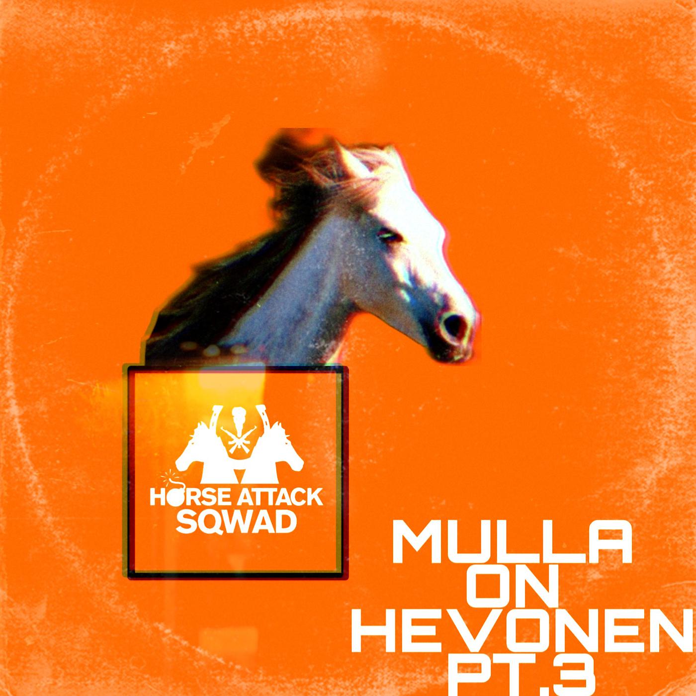 Постер альбома Mulla on hevonen pt.3