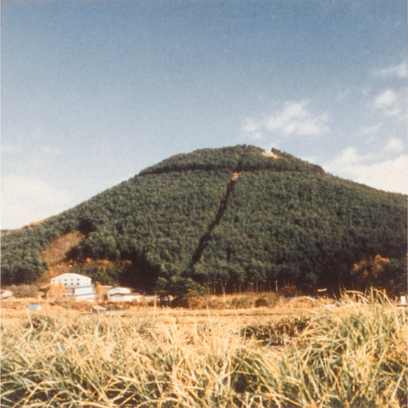 奥田民生 - Lee! Lee! Lee!