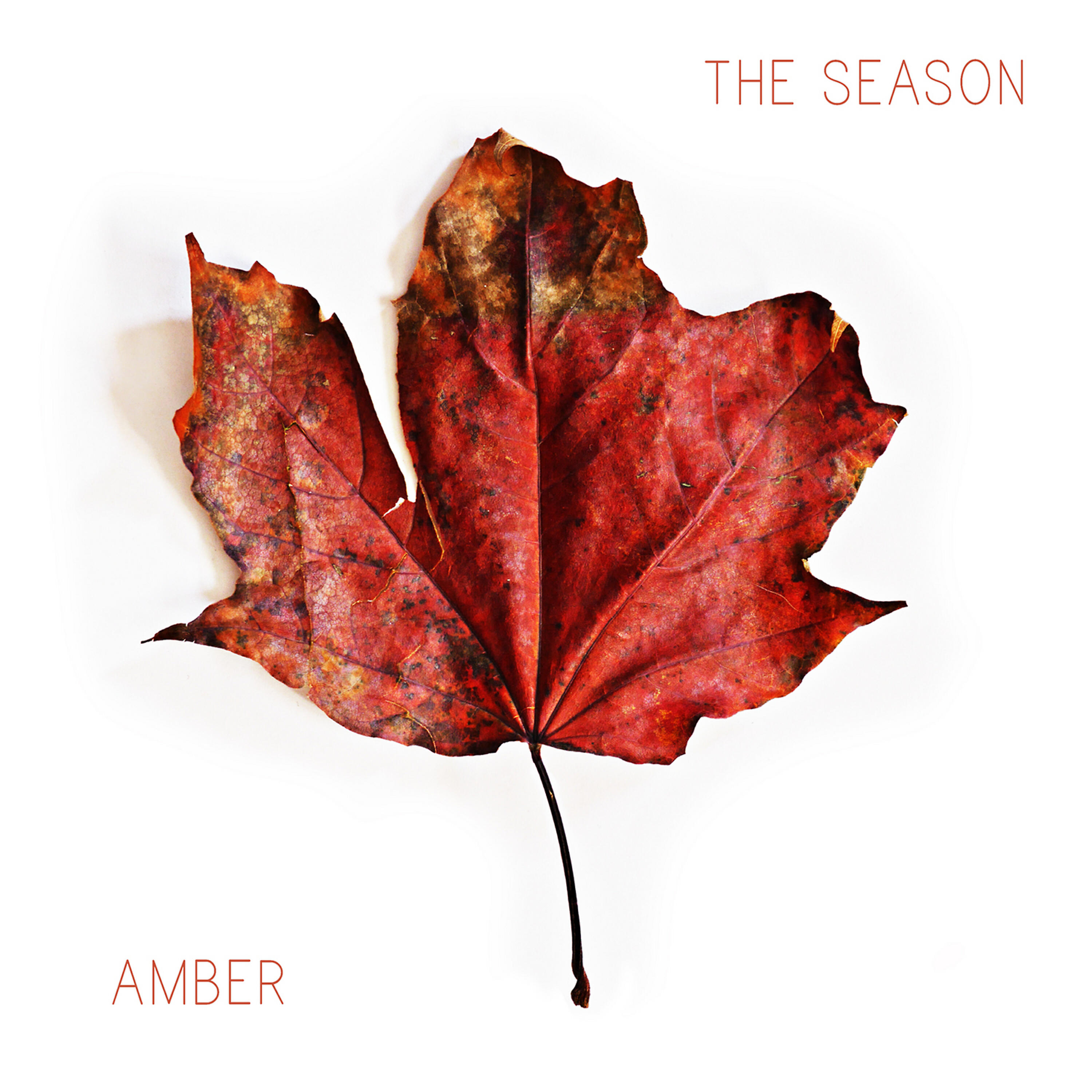AMBER - Stay the Night