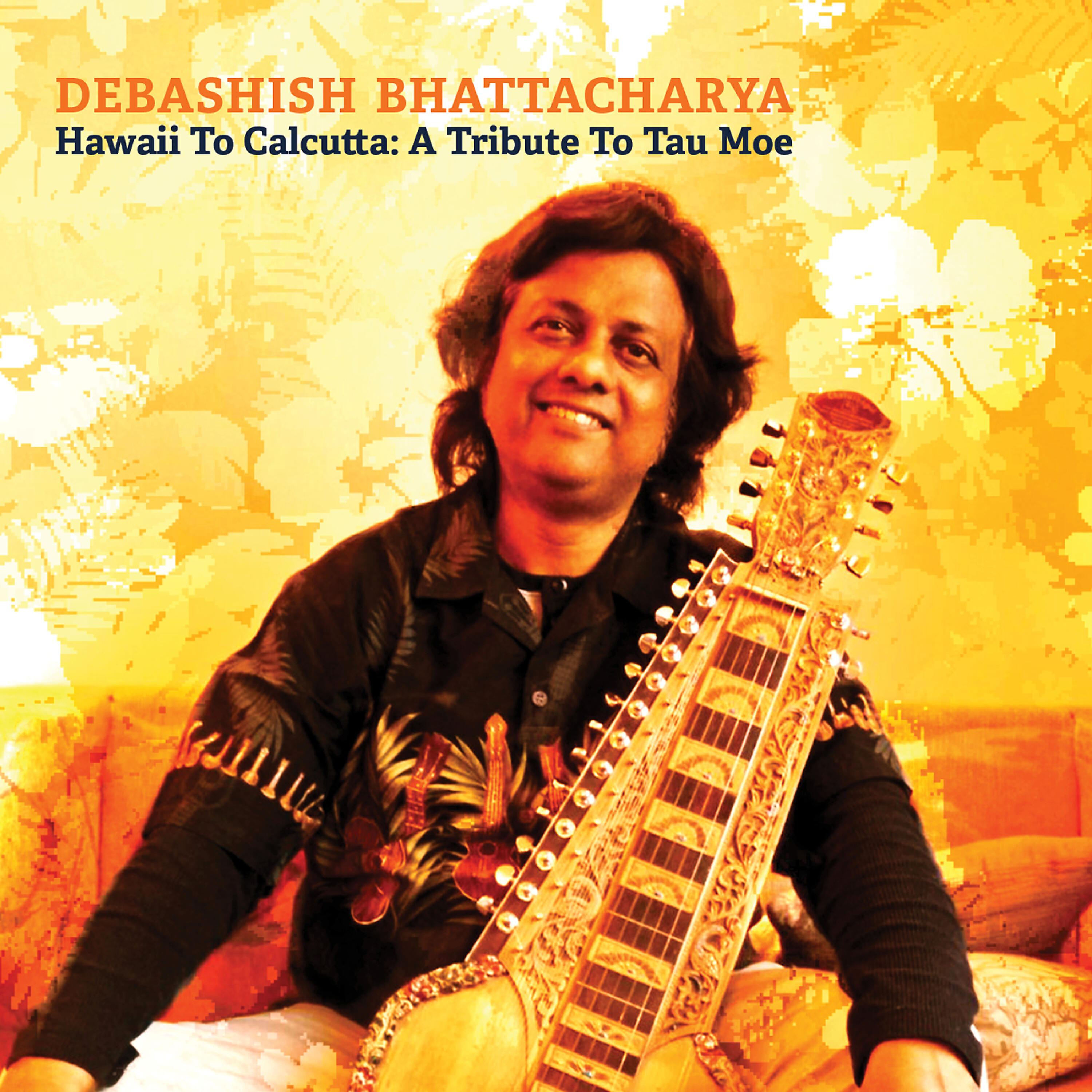 Debashish Bhattacharya - Anandi on the Loose