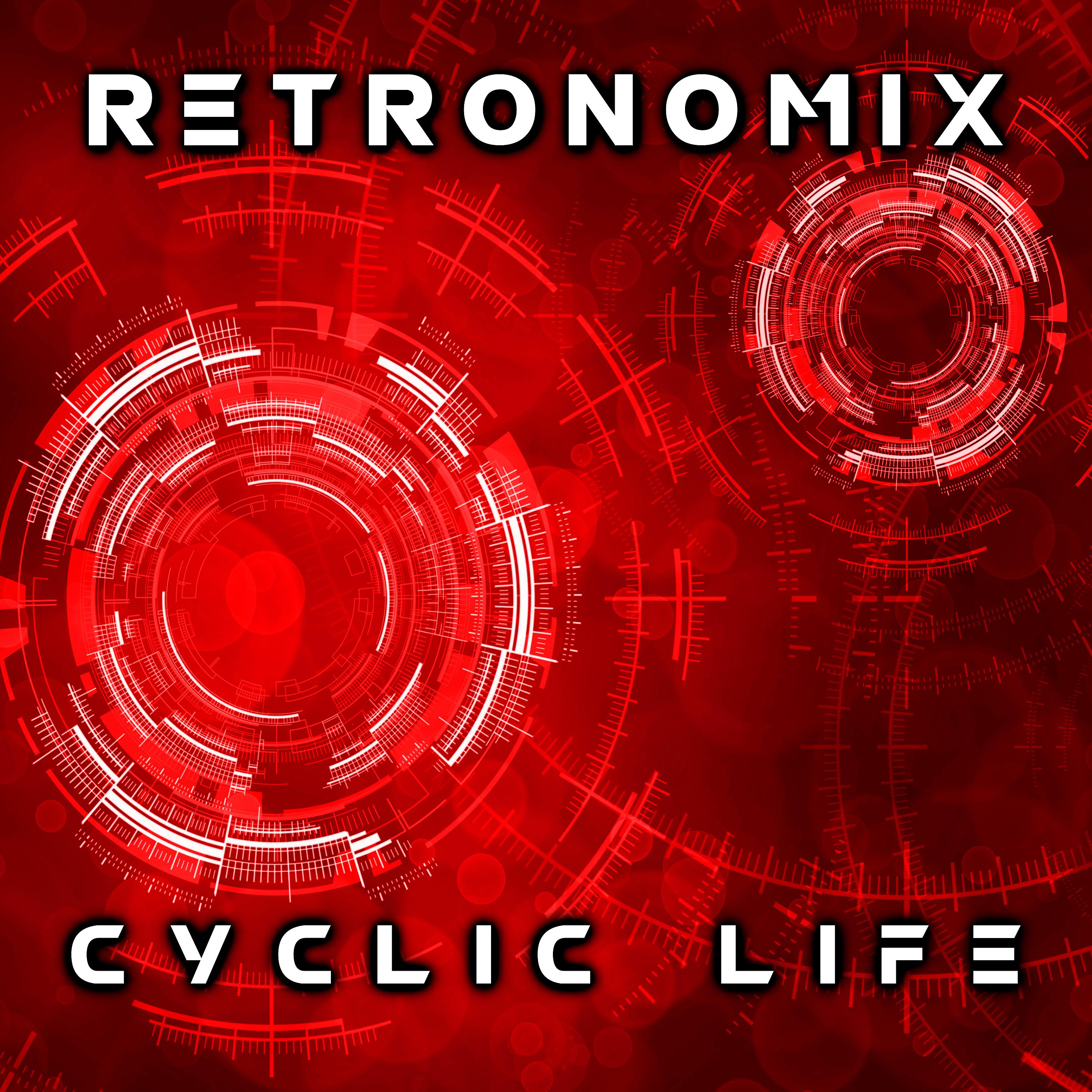 Постер альбома Cyclic Life