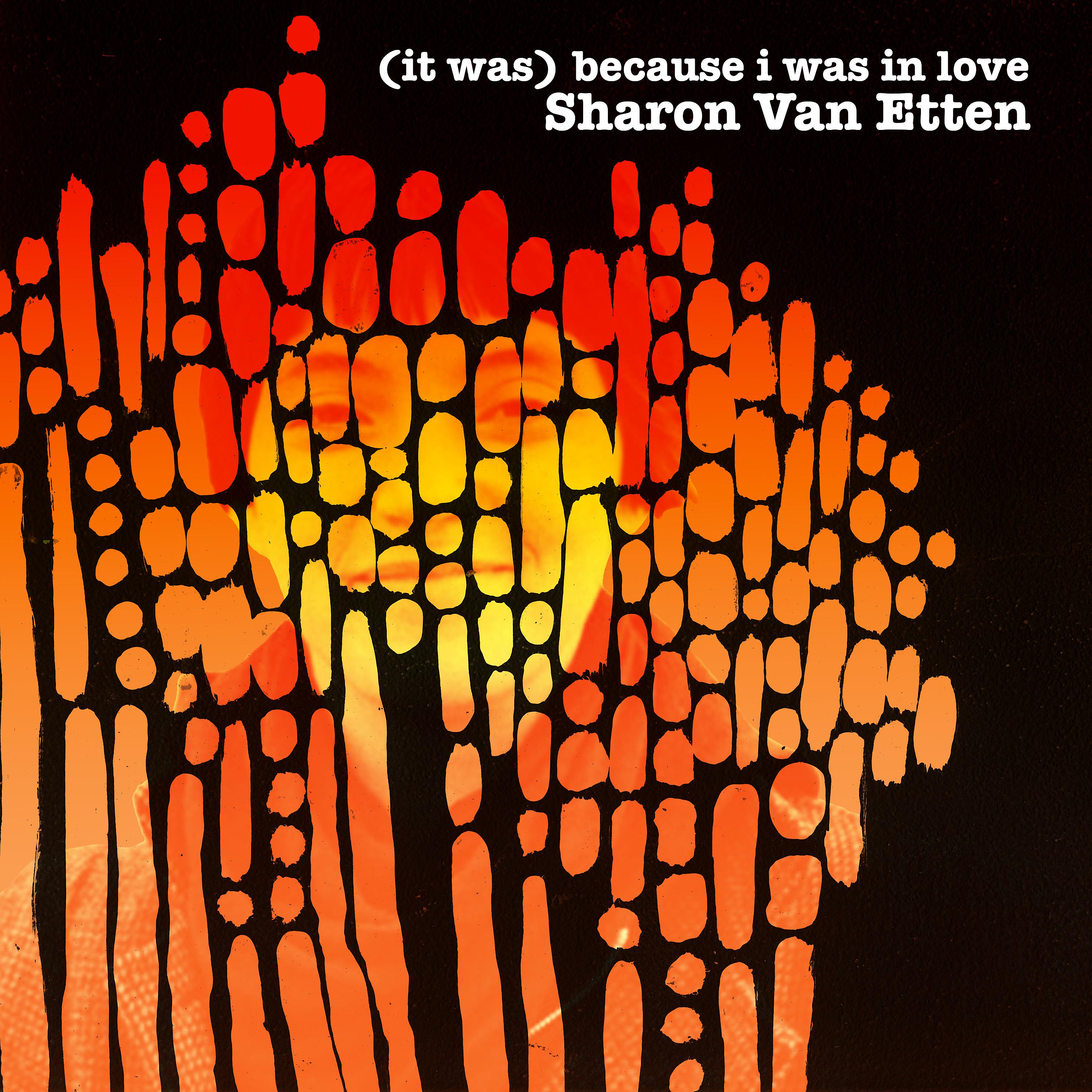 Постер альбома (It Was) Because I Was in Love (Deluxe Reissue)