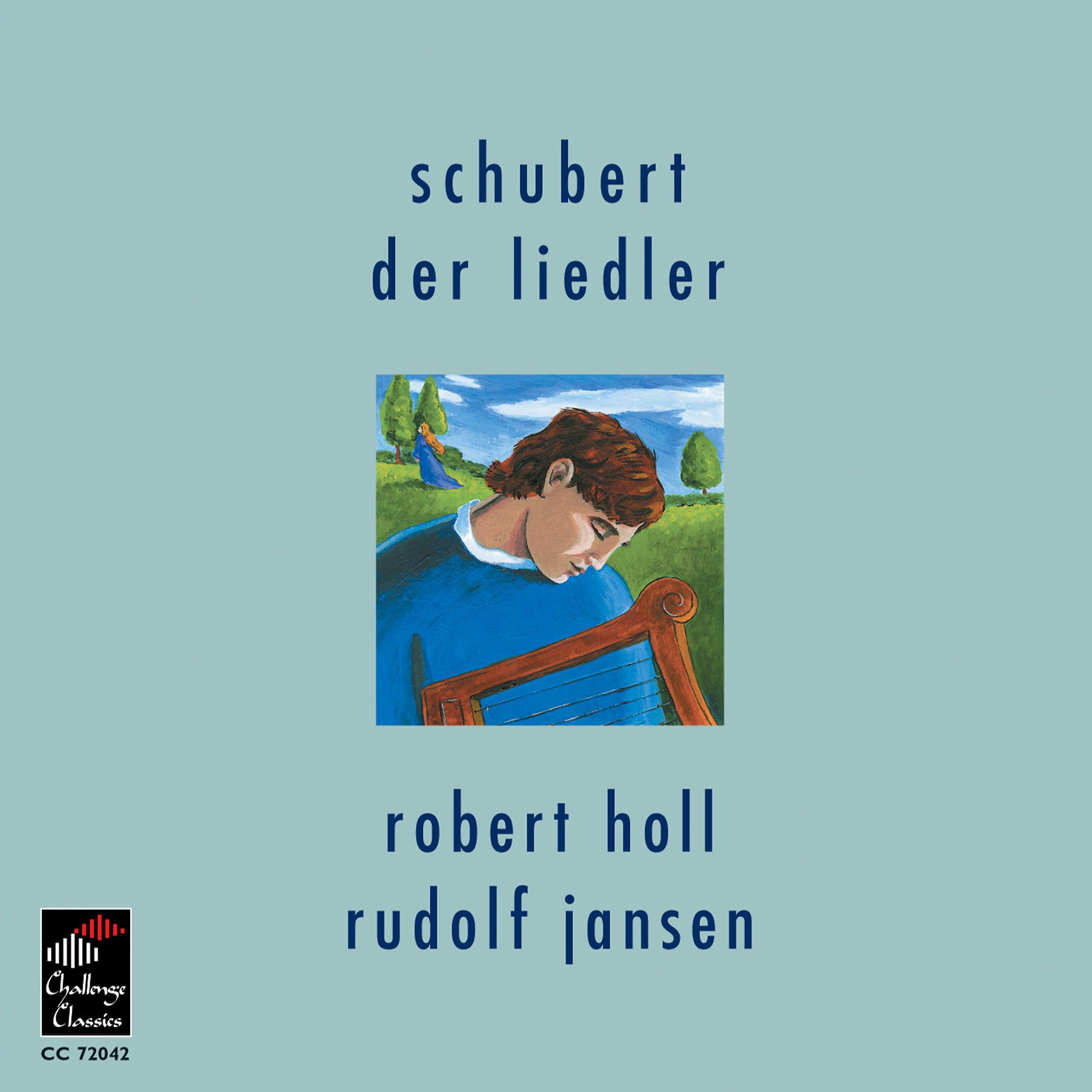 Постер альбома Der Liedler