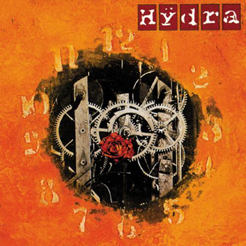 HYDRA - Cross section