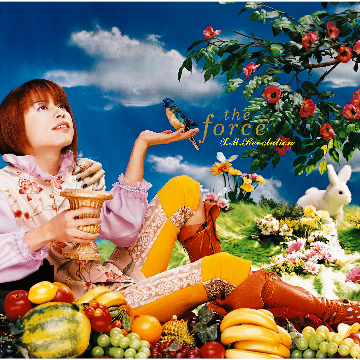 T.M.Revolution - Wild Rush (Album Mix)