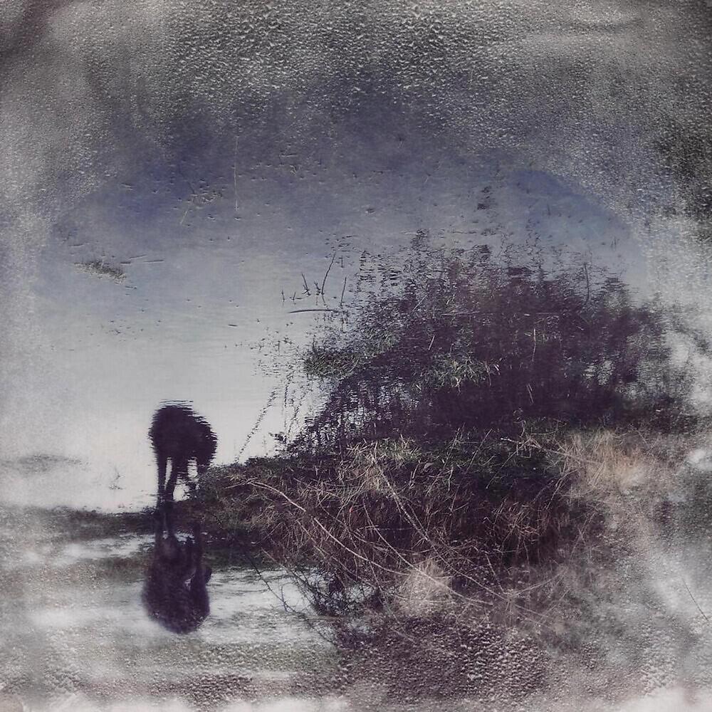 Simon Posford - Concerto for Piano & Birds in Eb Minor