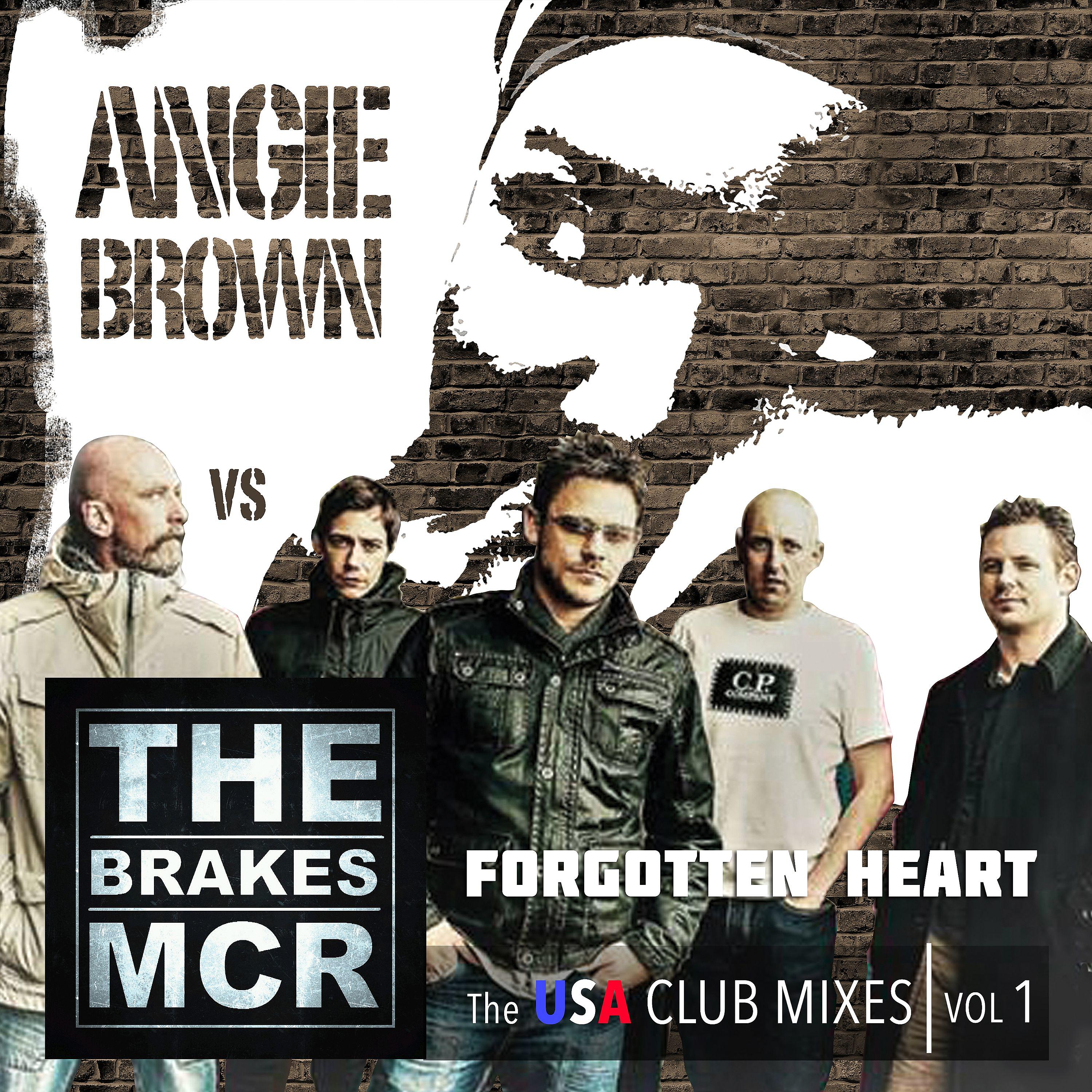 Постер альбома Forgotten Heart (Angie Brown vs. The Brakes) [The USA Club Mixes, Vol.1]
