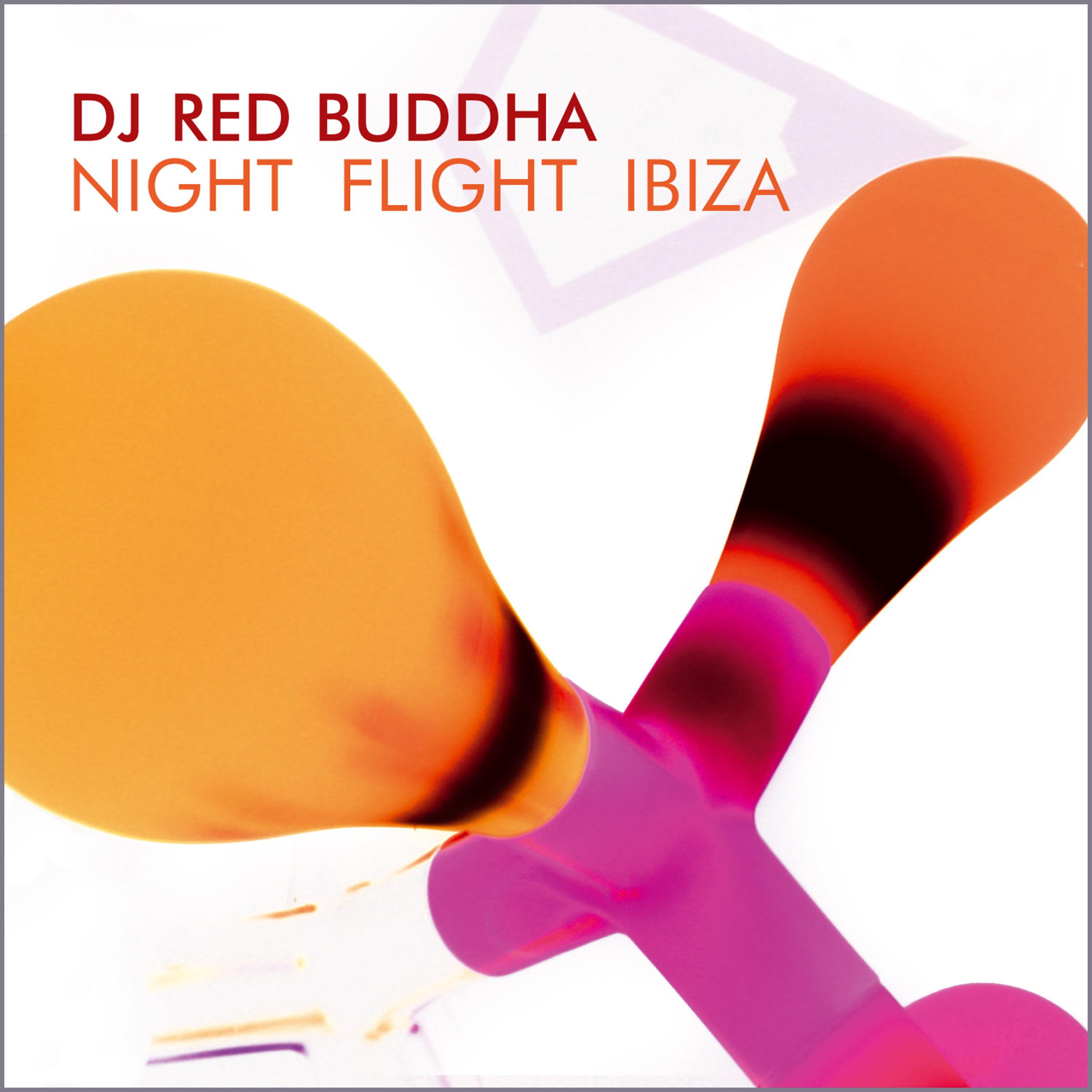 Постер альбома Night Flight Ibiza