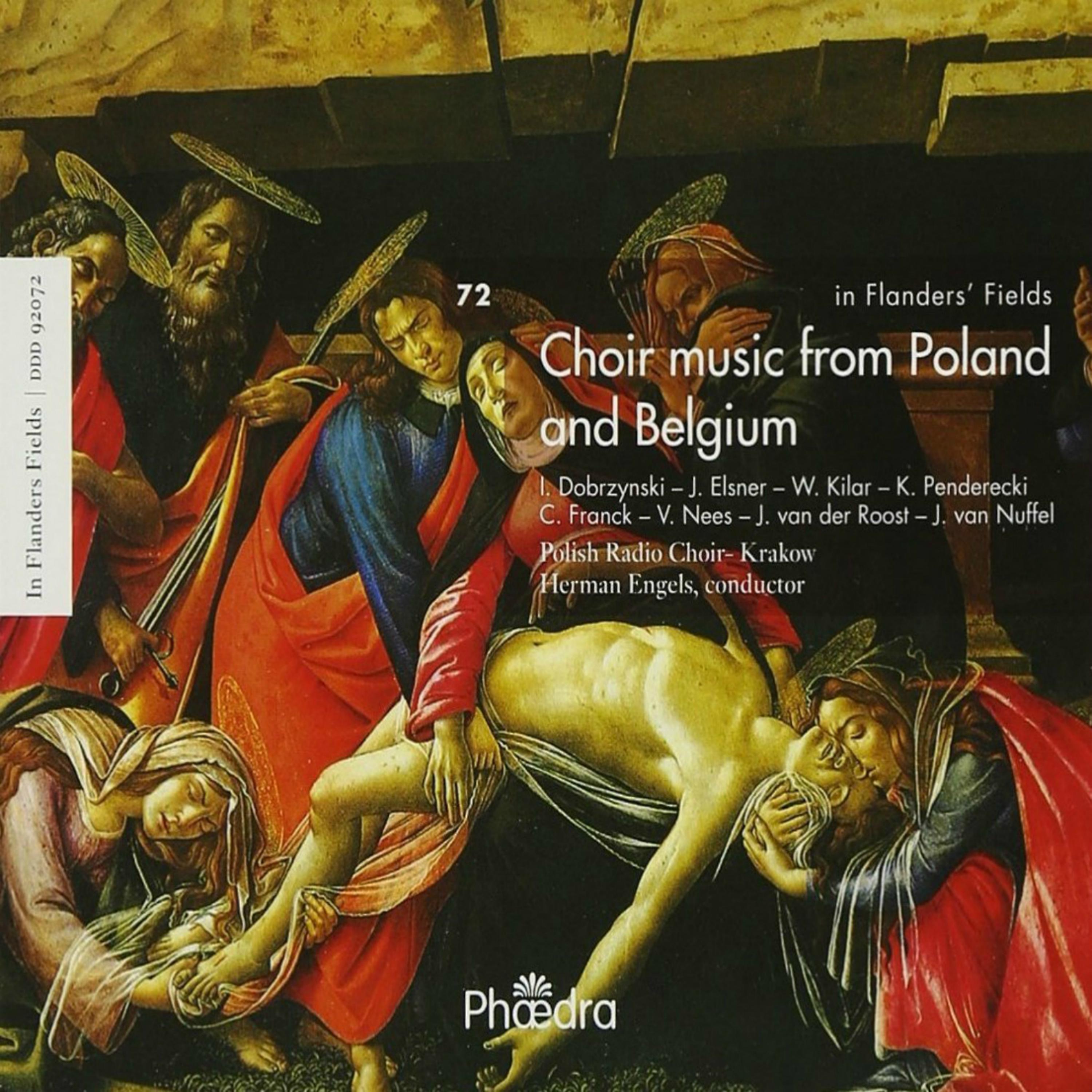 Постер альбома In Flanders' Fields Vol. 72: Choir Music from Poland and Belgium