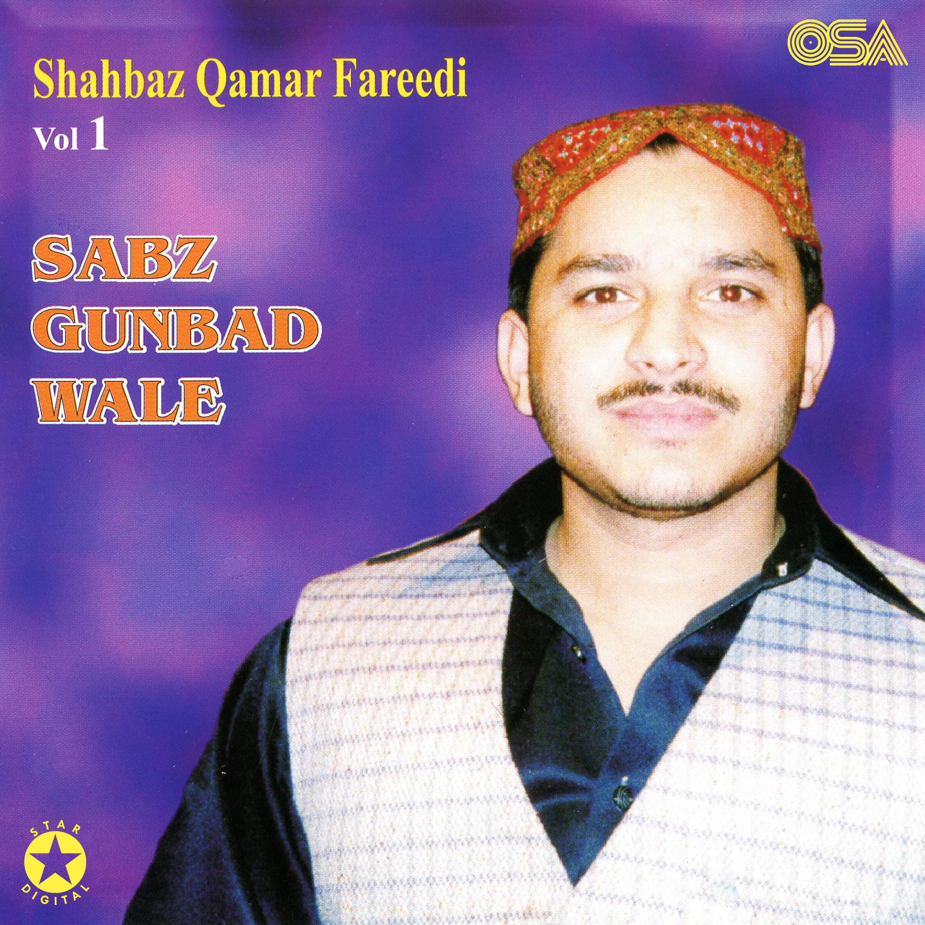 Shahbaz Qamar Fareedi - Ae Sabz Gunbad Waley