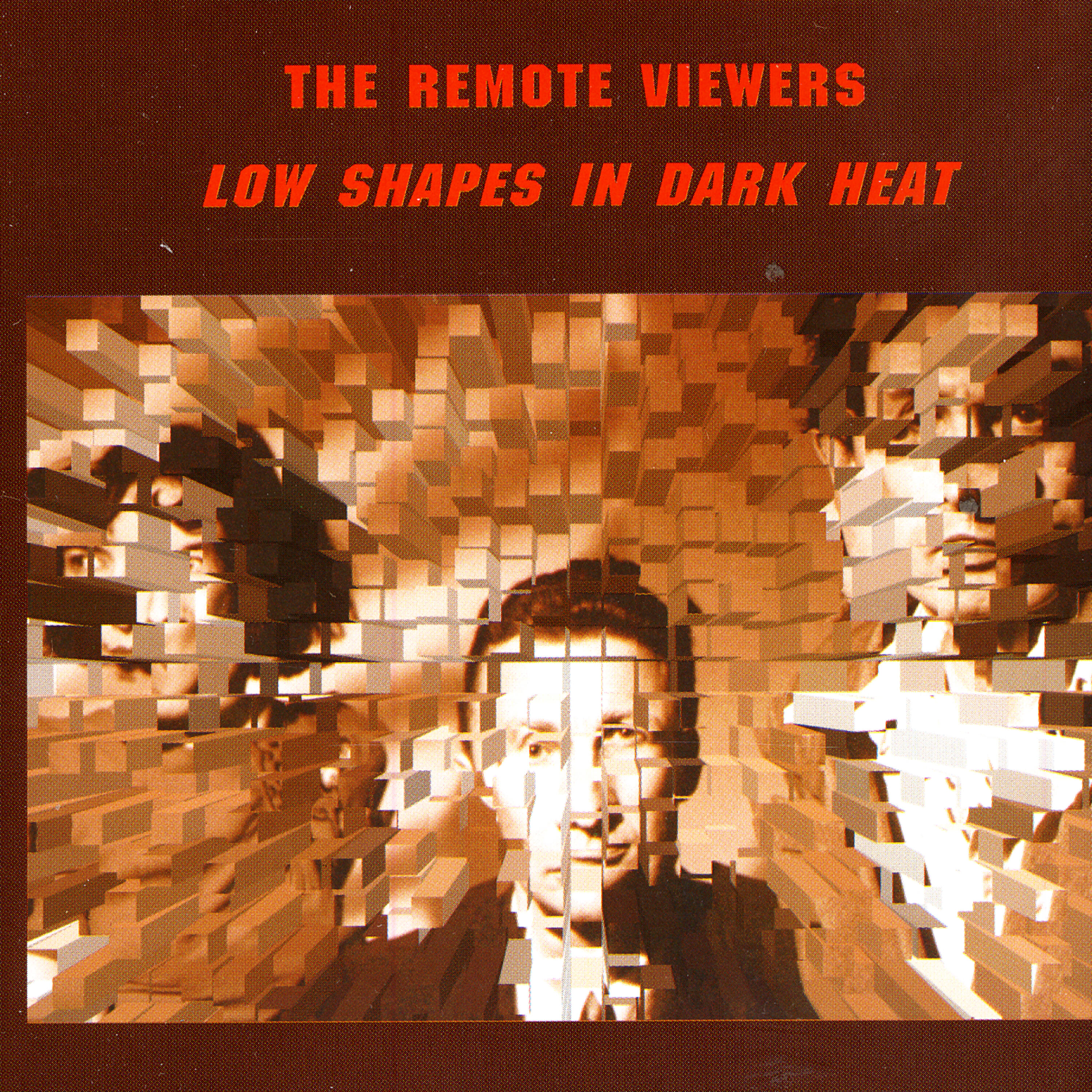 The Remote Viewers - One Thousand Unnamed Flowers