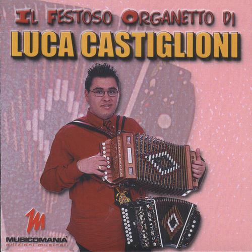 Постер альбома Il Festoso Organetto