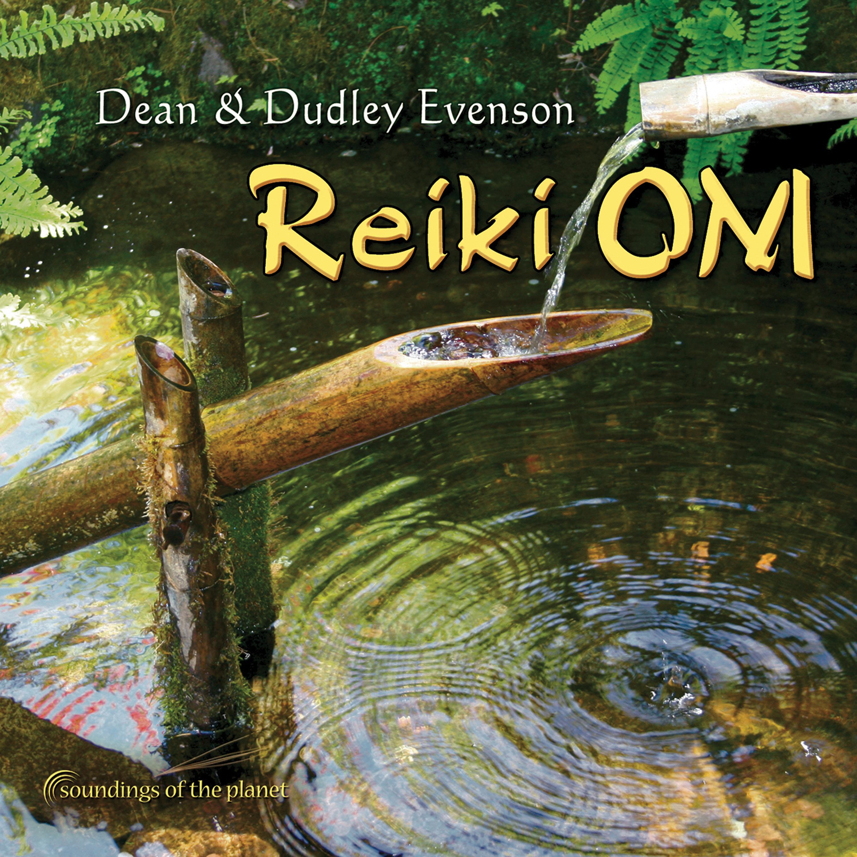 Постер альбома Reiki Om