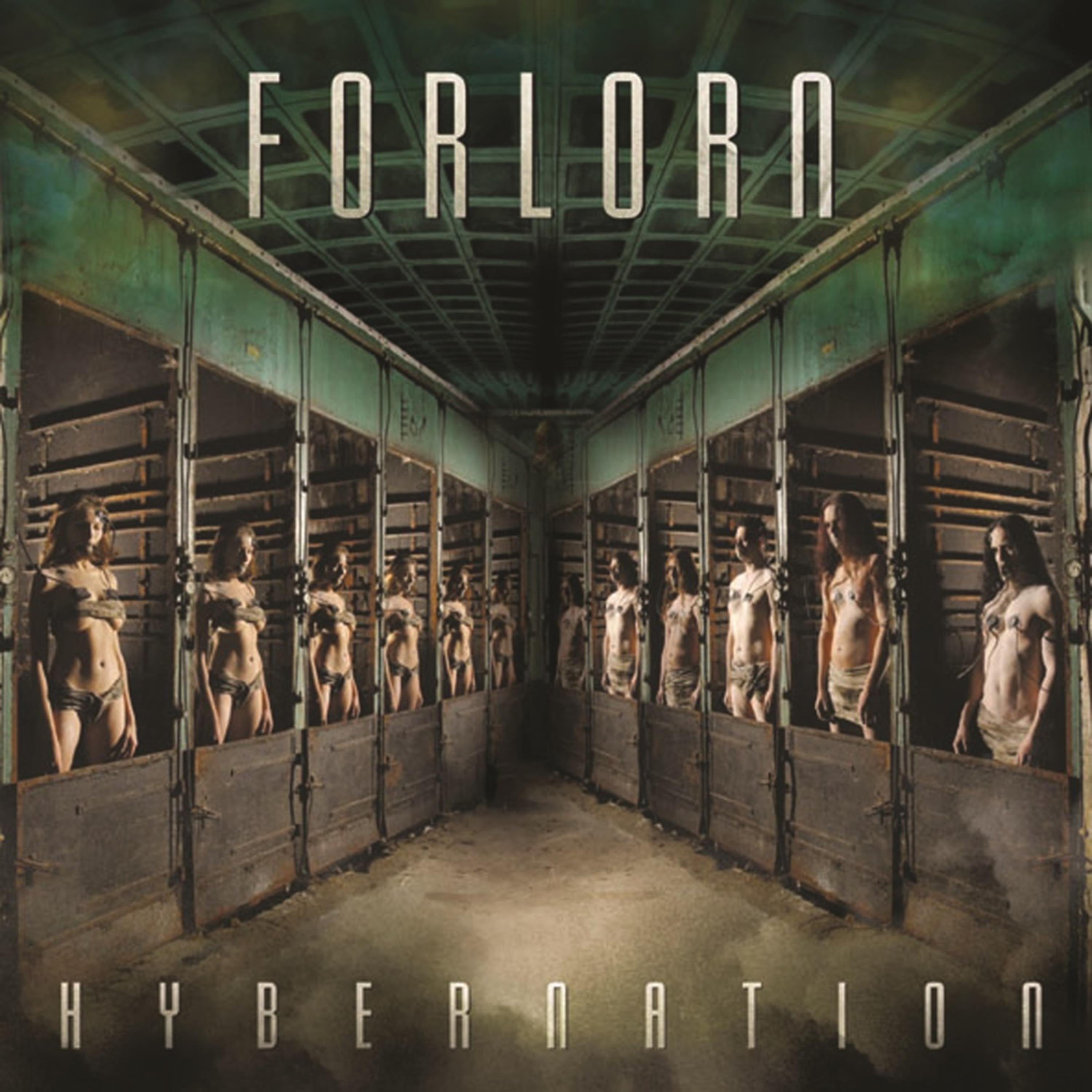Постер альбома Hybernation