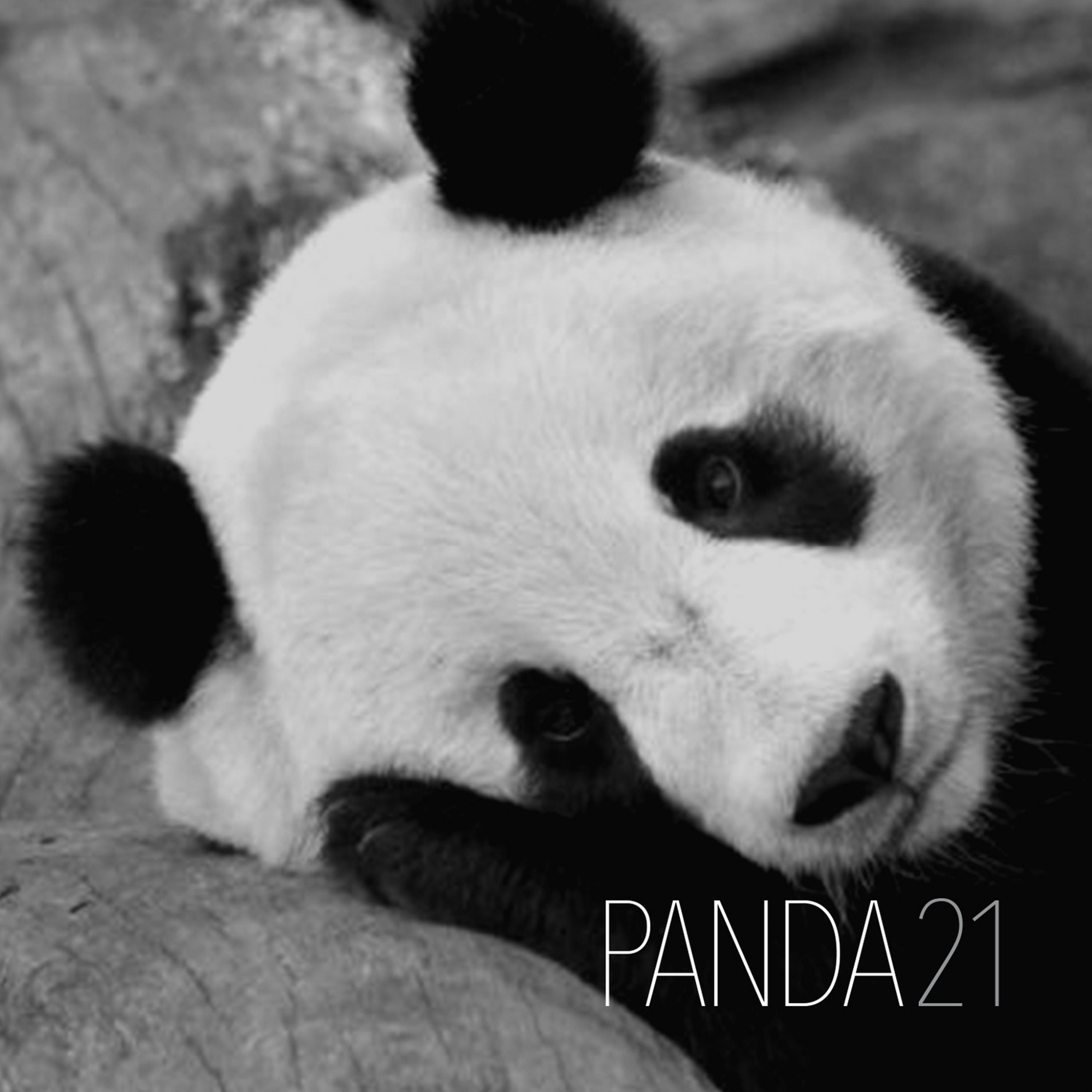 Постер альбома Panda21