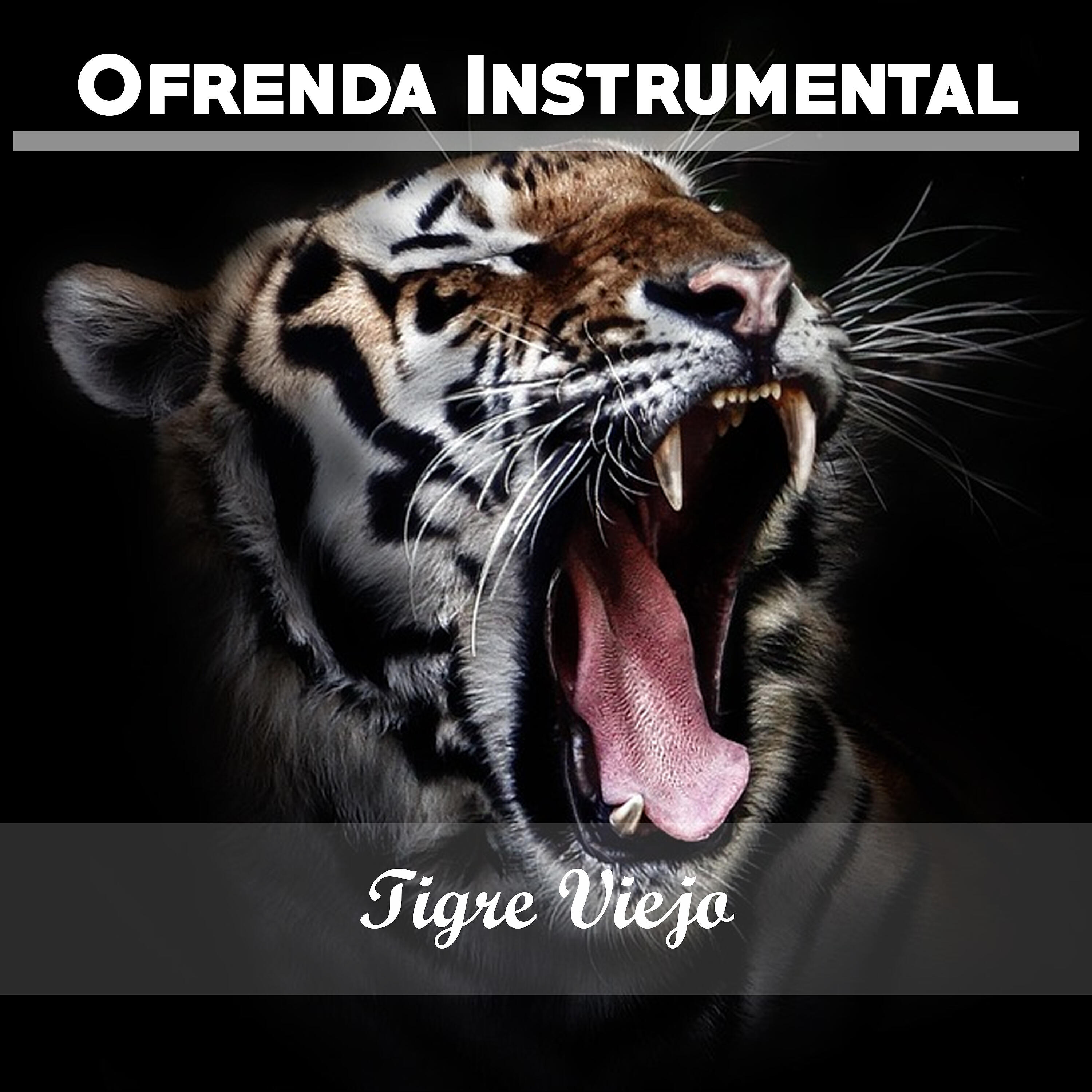 Osvaldo Fresedo - Tigre Viejo