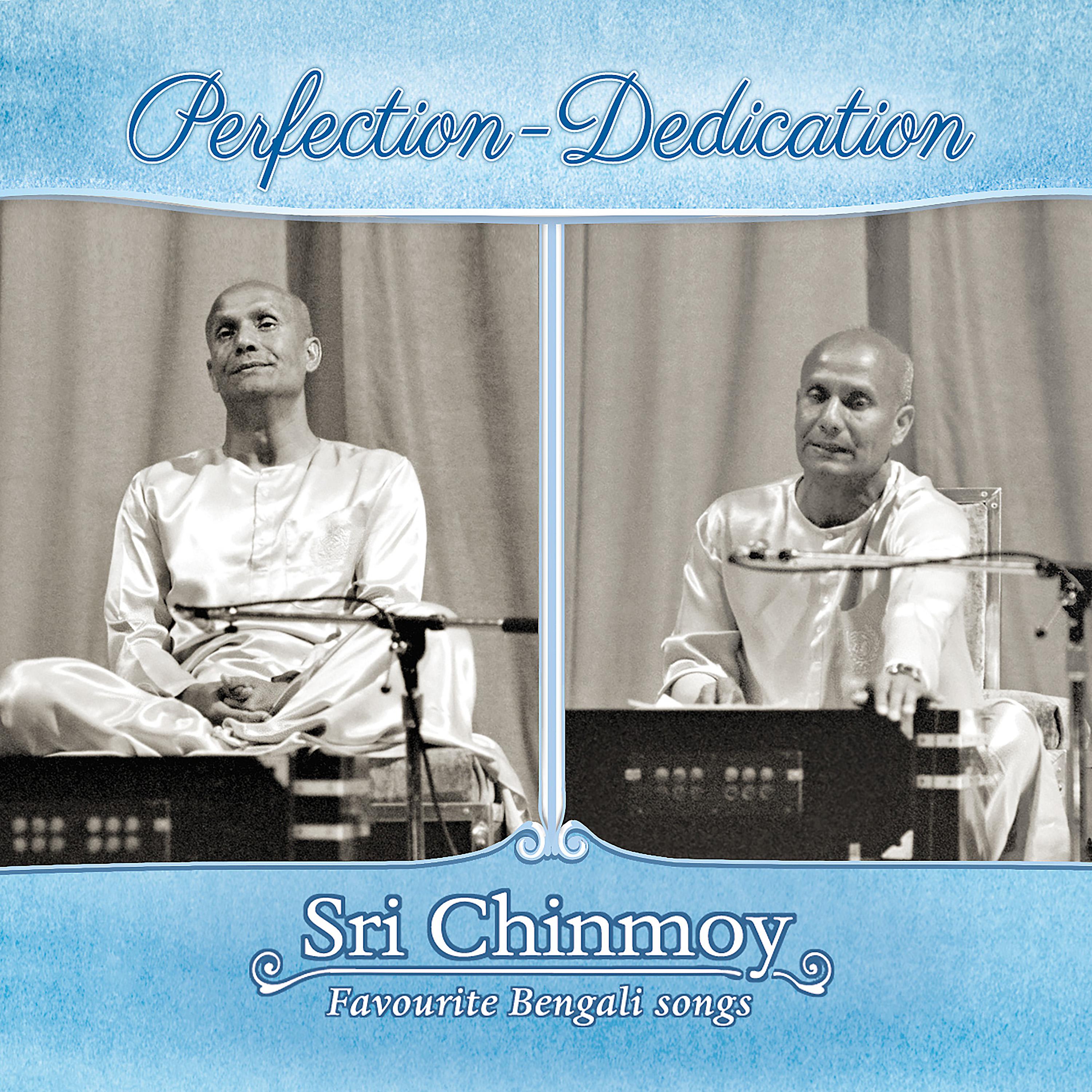 Постер альбома Perfection-Dedication
