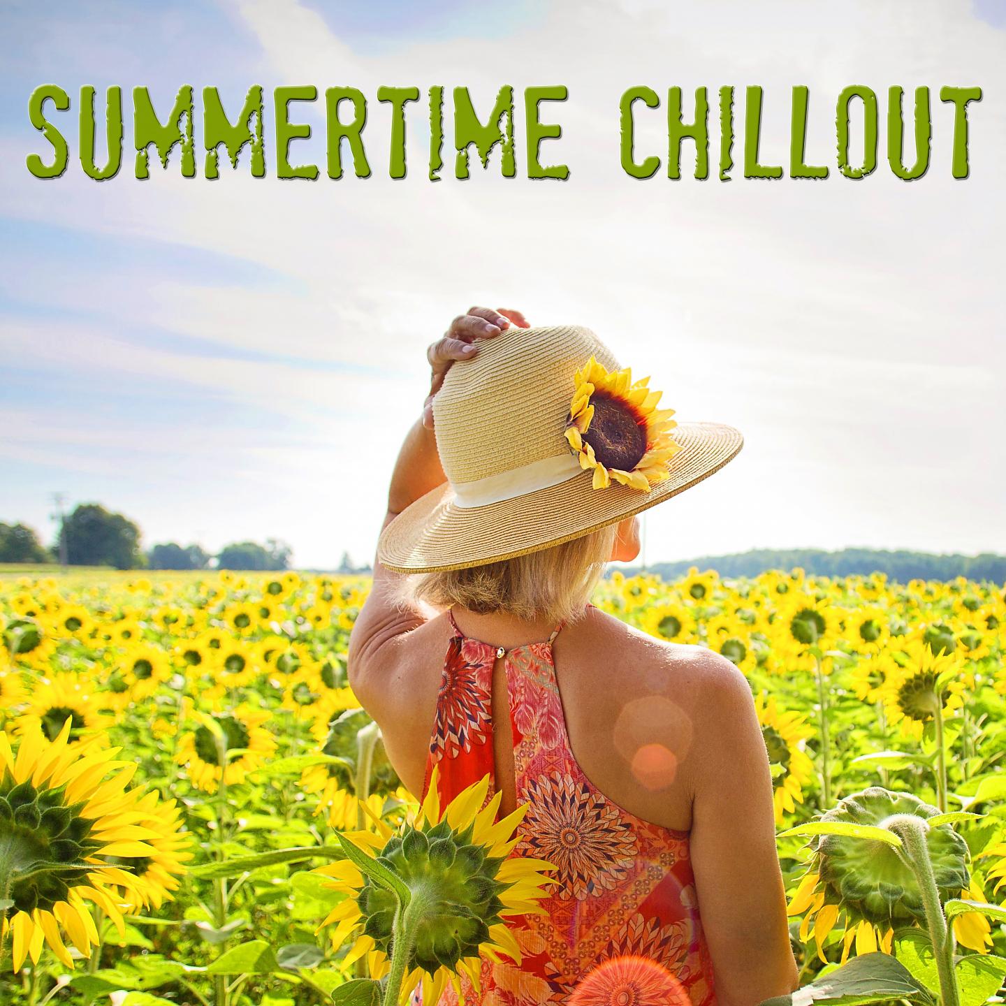 Постер альбома Summertime Chillout
