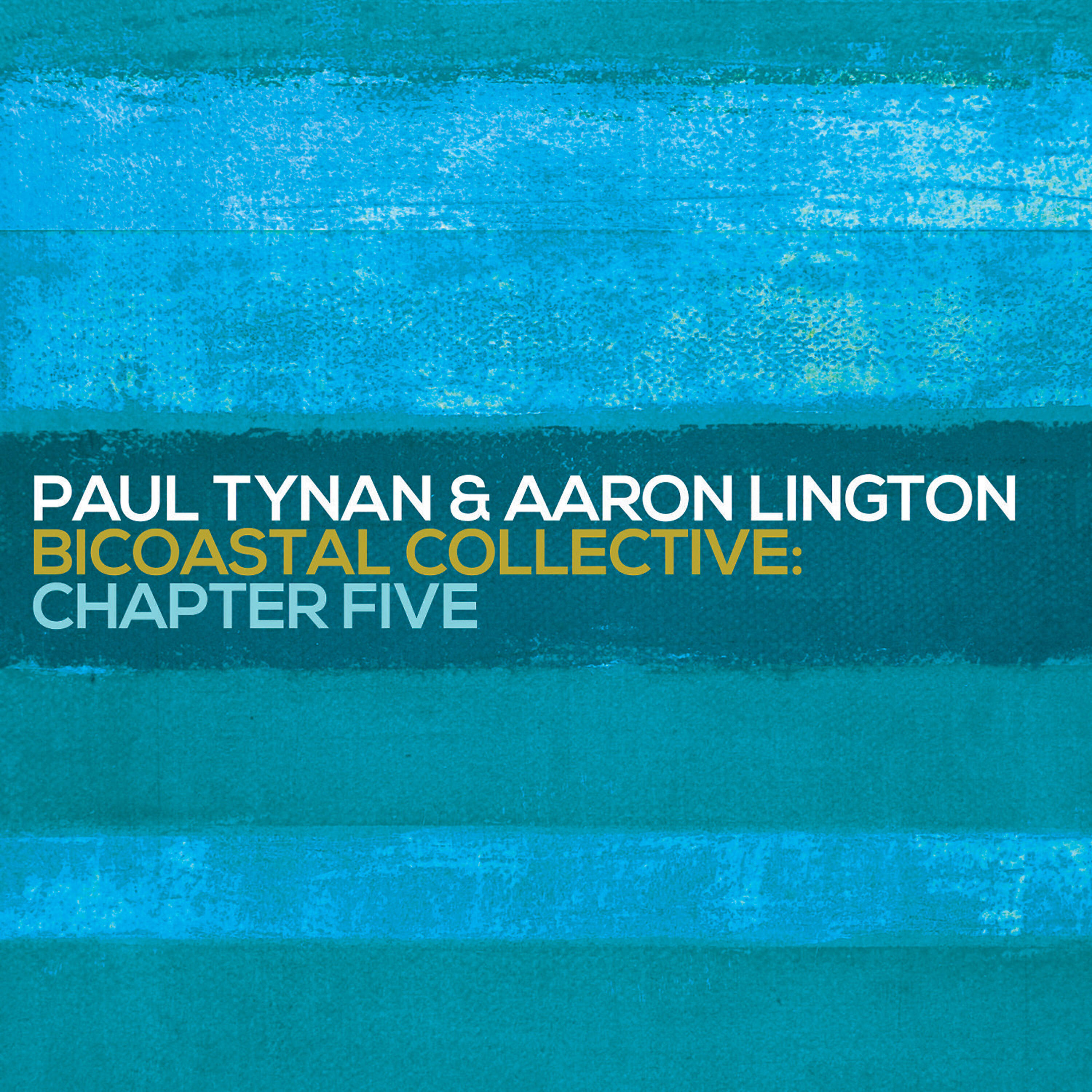 Paul Tynan - I Remember Every Day