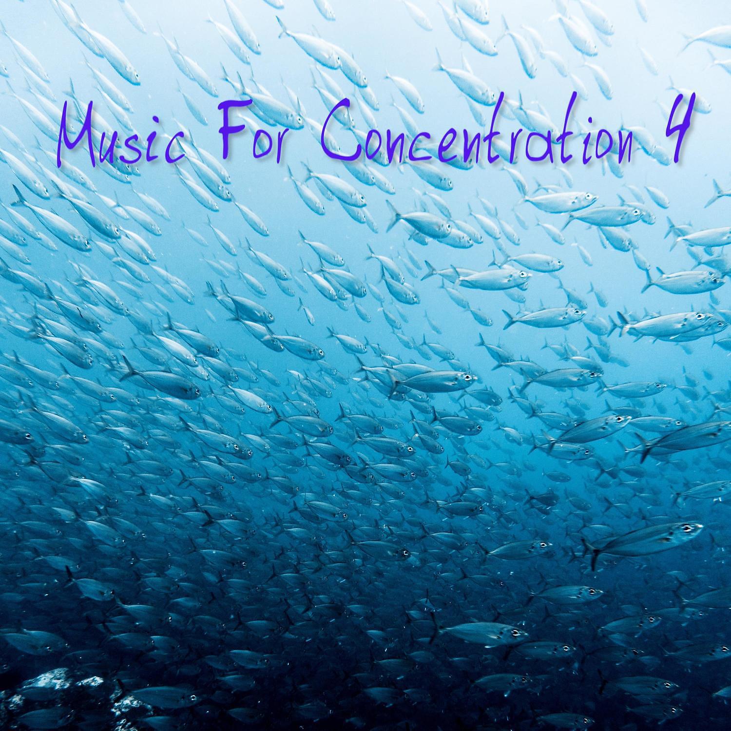 Постер альбома Music for Concentration 4