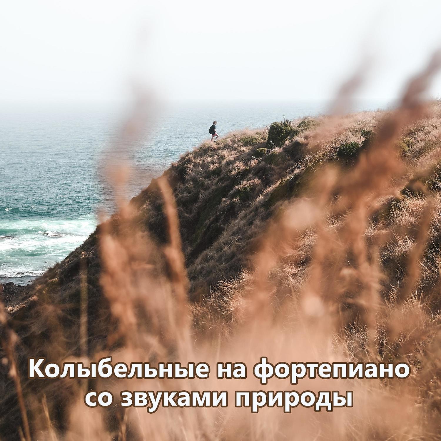 RW Песни на фортепиано со звуками природы - Фортепианная музыка для детей (Птицы)