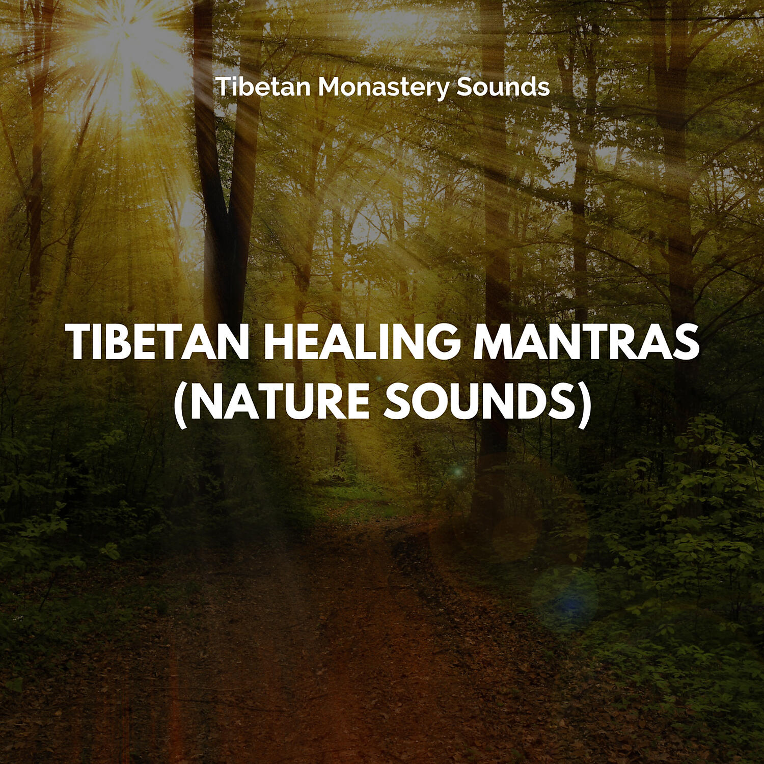 Tibetan Monastery Sounds - Bhakti Yoga (Devotions)