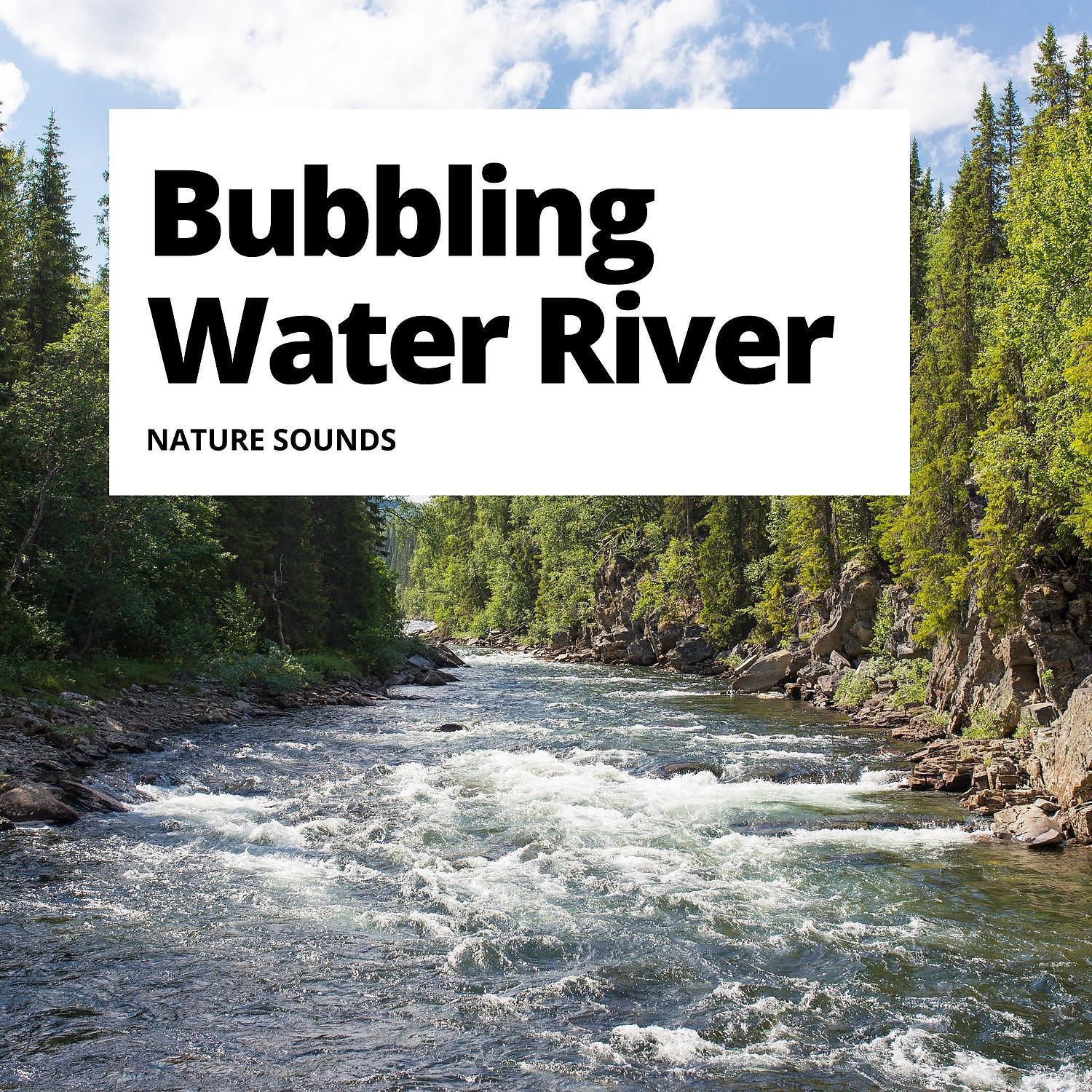 Постер альбома Bubbling Water River