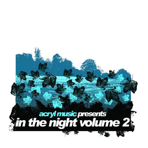 Постер альбома In The Night Vol. 2
