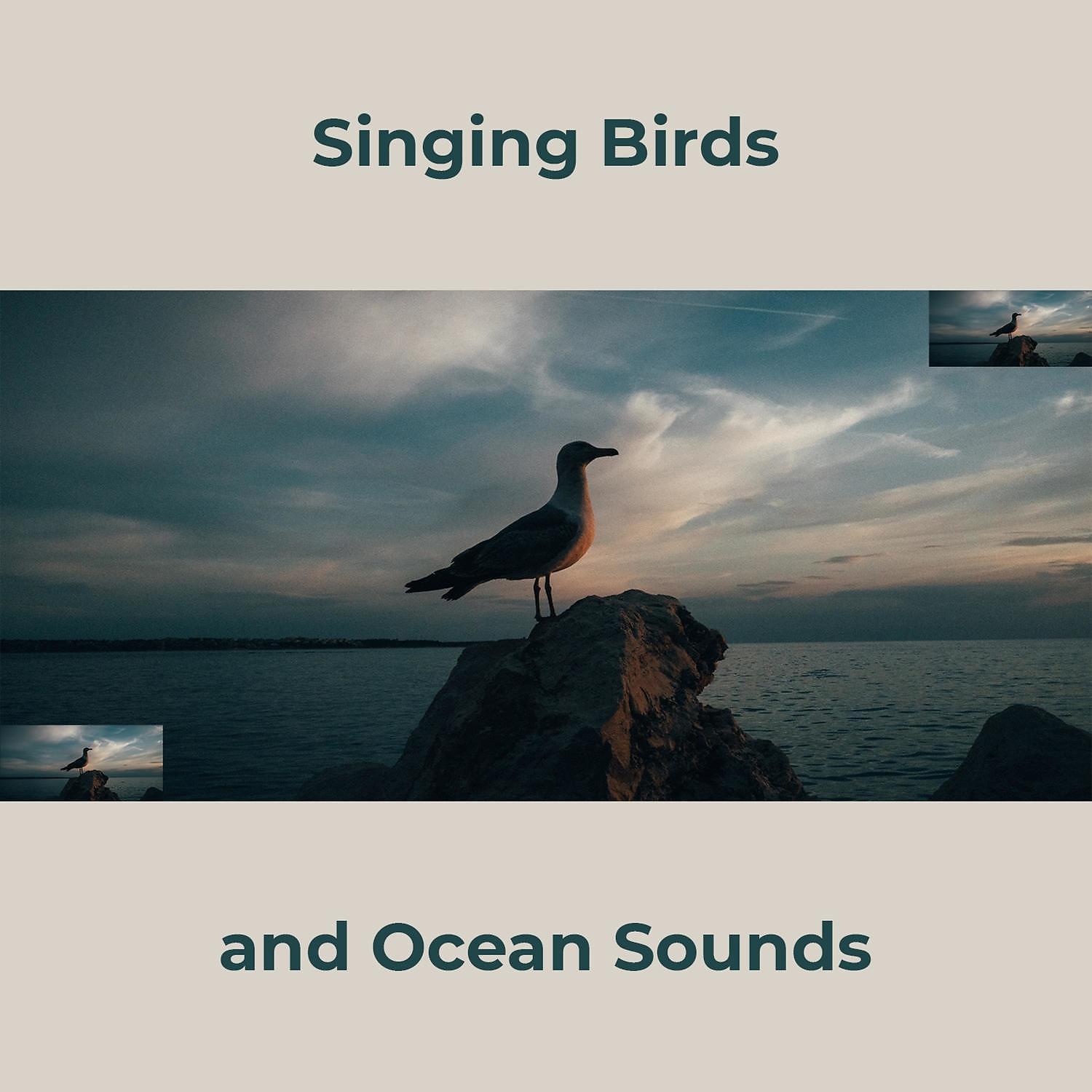 RW Piano, Birds and Ocean Sounds - Piano Music and Sounds of Nature (Seagulls)