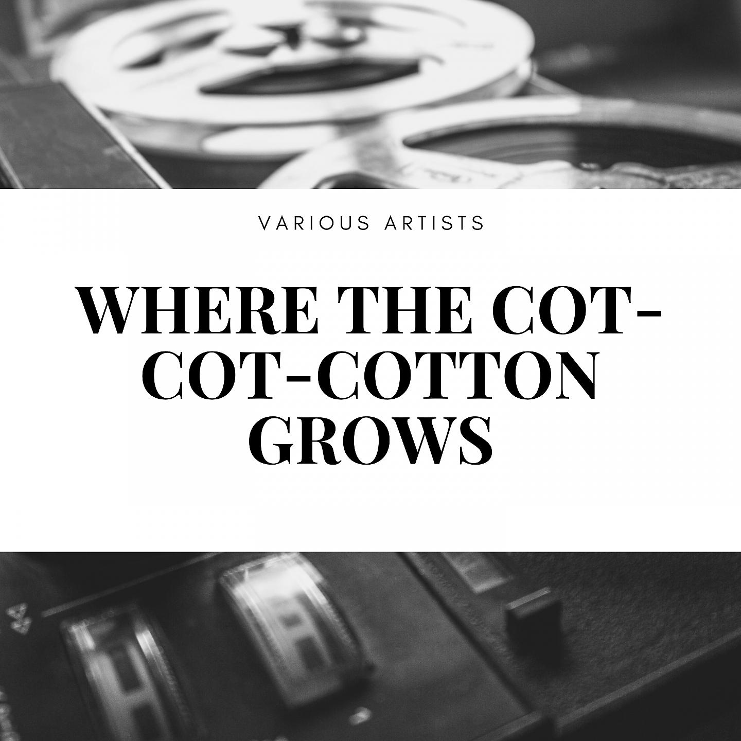 Постер альбома Where the Cot-Cot-Cotton Grows