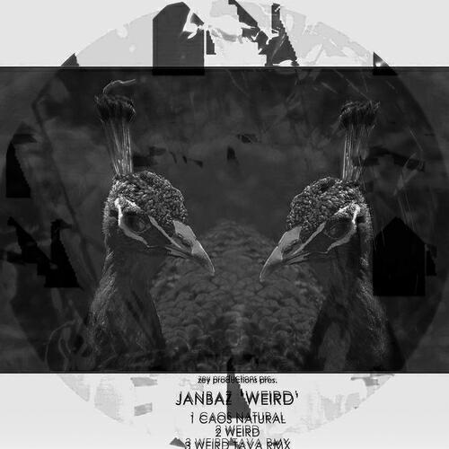 Janbaz - Caos Natural