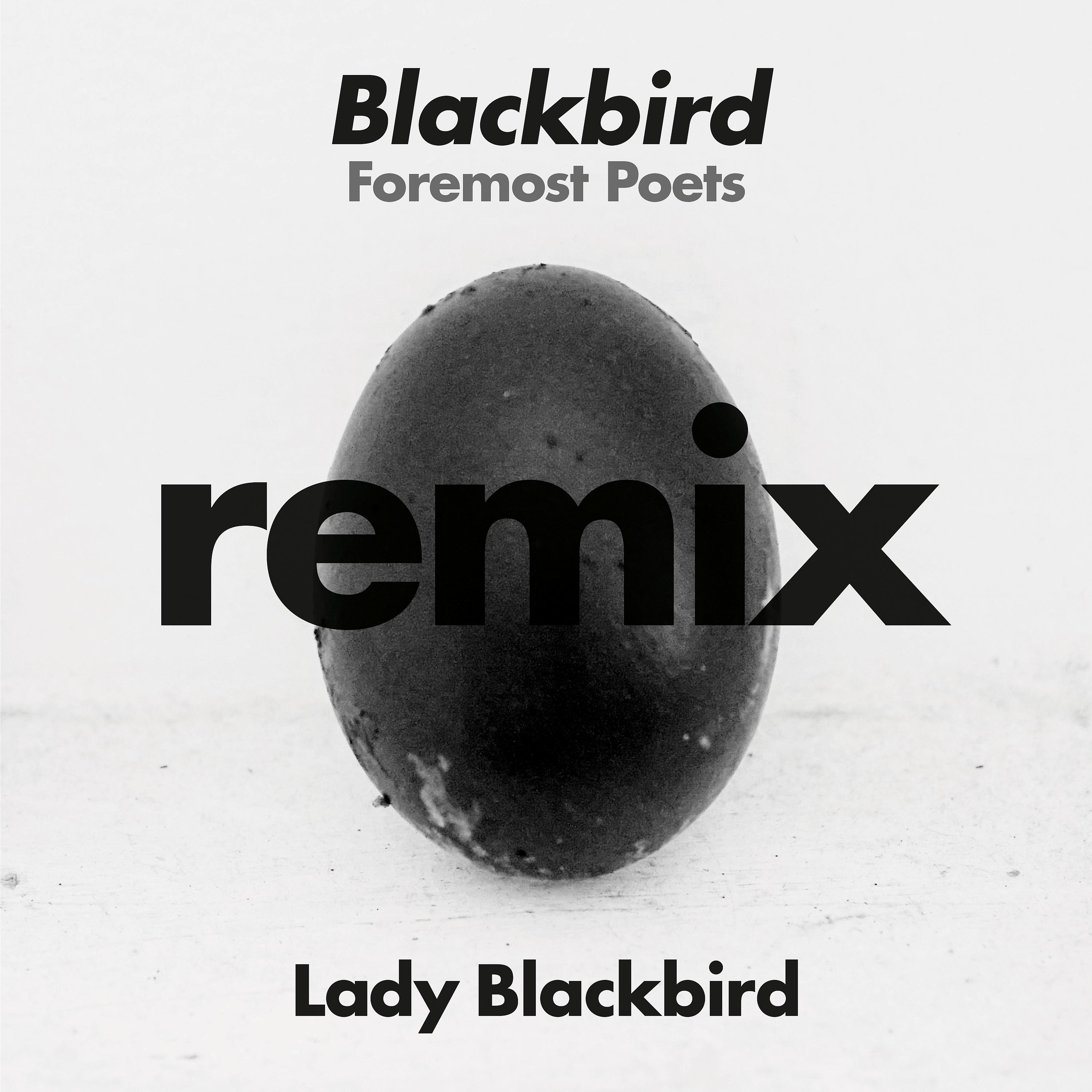 Постер альбома Blackbird (Foremost Poets Remix)
