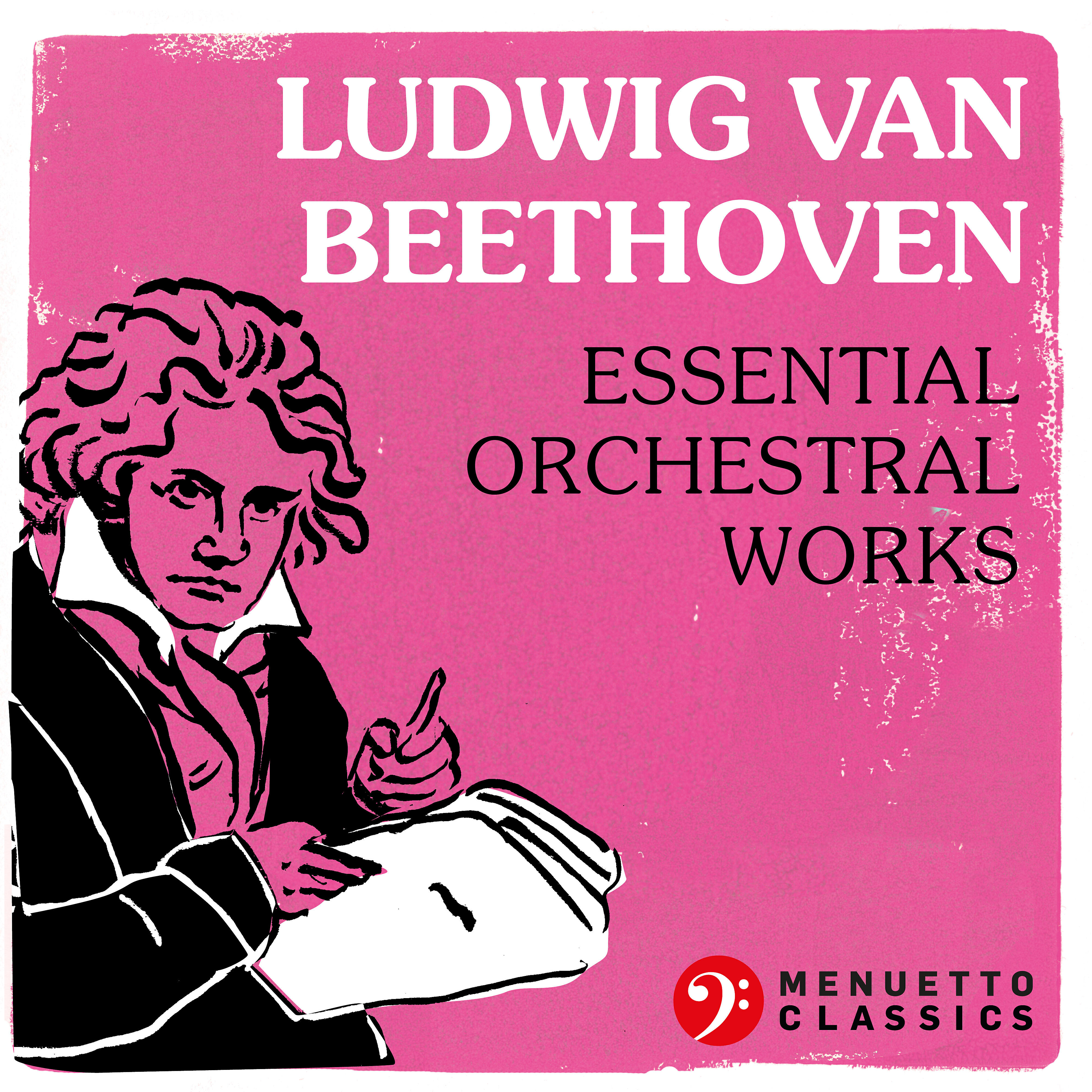 Royal Philharmonic Orchestra - Wellington's Victory or the Battle of Vittoria, Op. 91