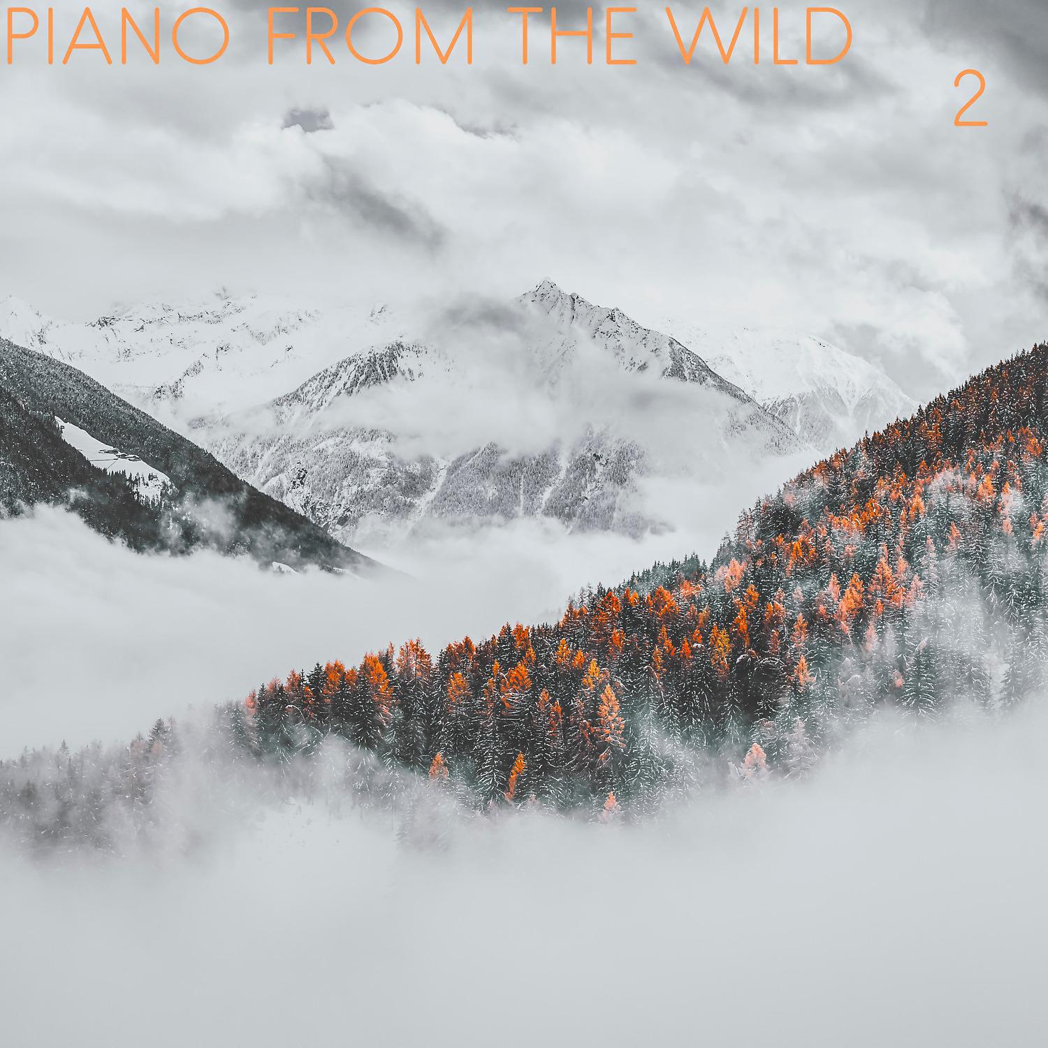 Постер альбома Piano from the Wild, Vol. 2