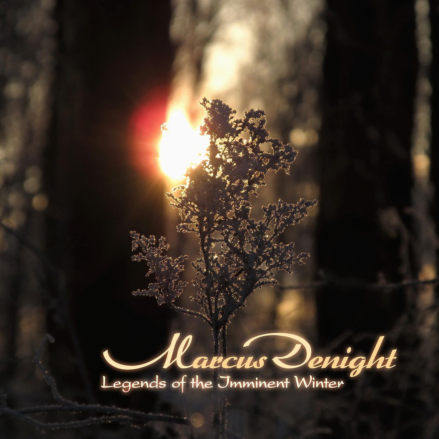 Marcus Denight - Winter Came