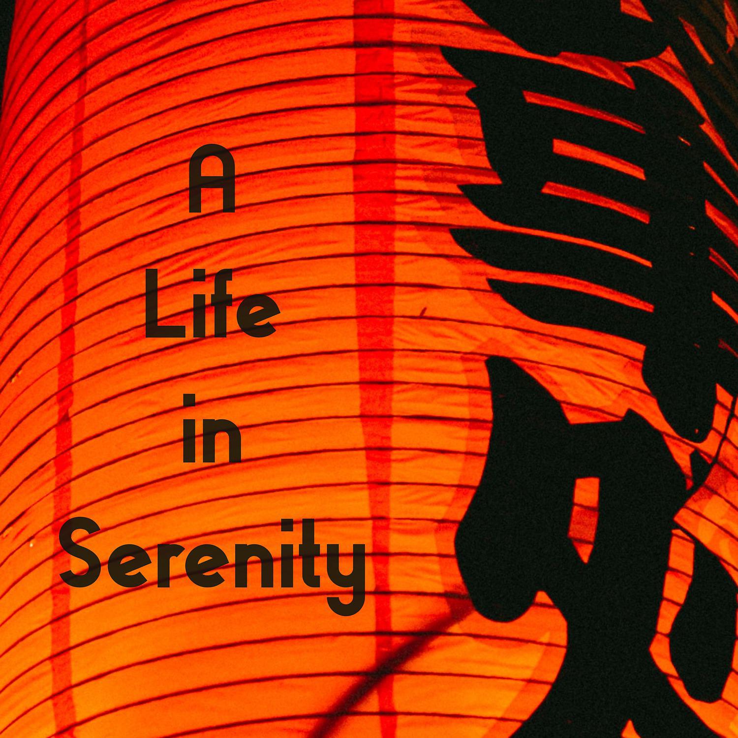 Постер альбома A Life in Serenity