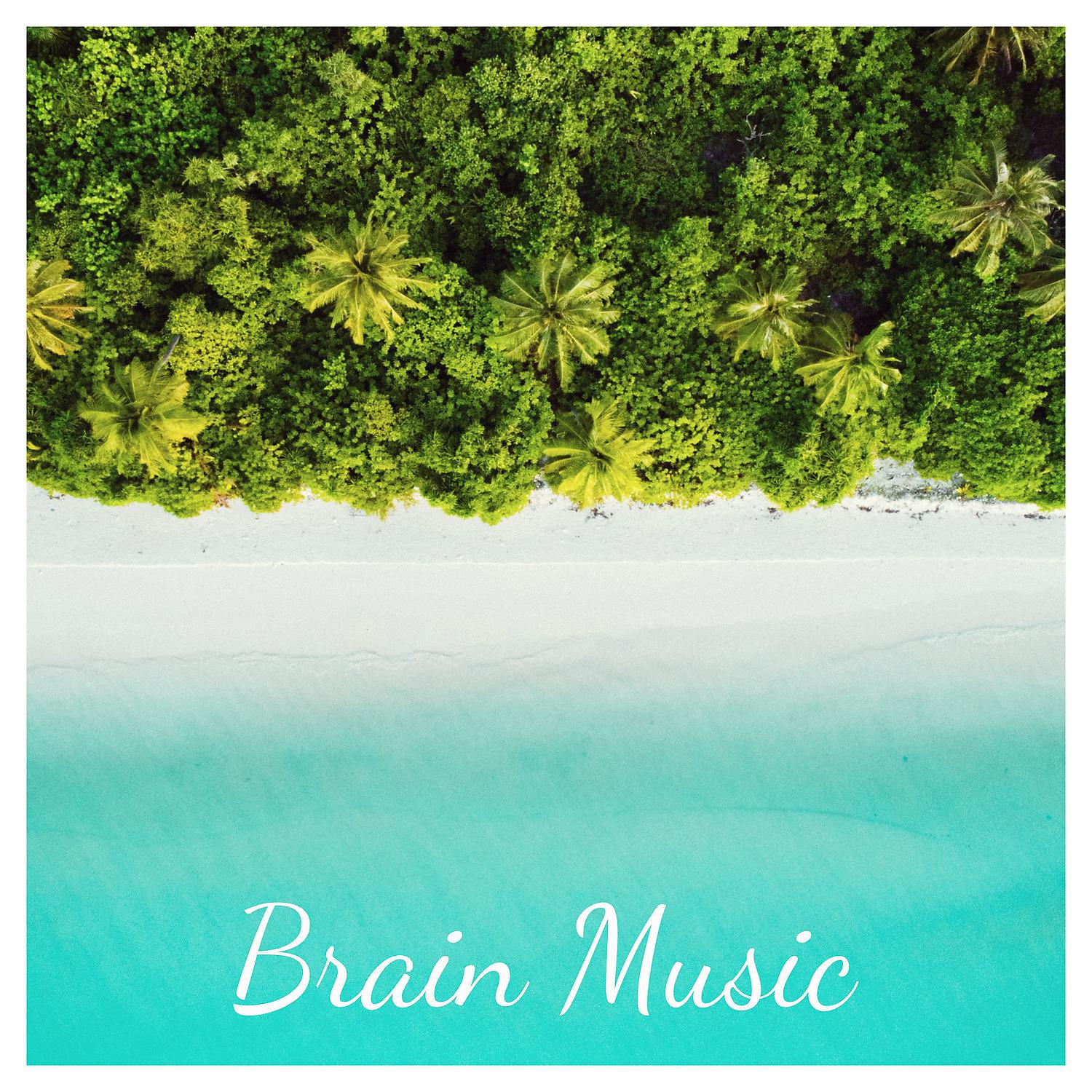 Постер альбома Brain Music
