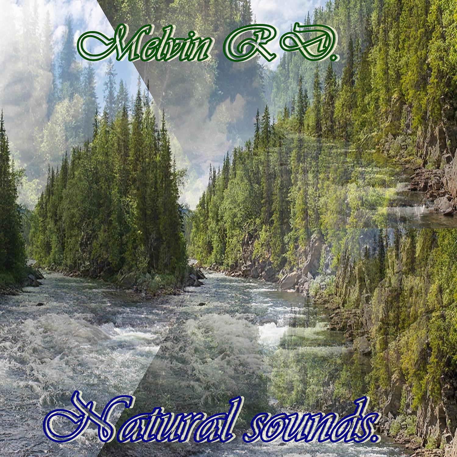 Постер альбома Natural Sounds