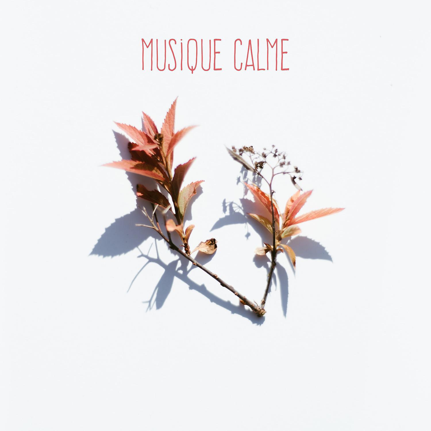 Постер альбома Musique Calme