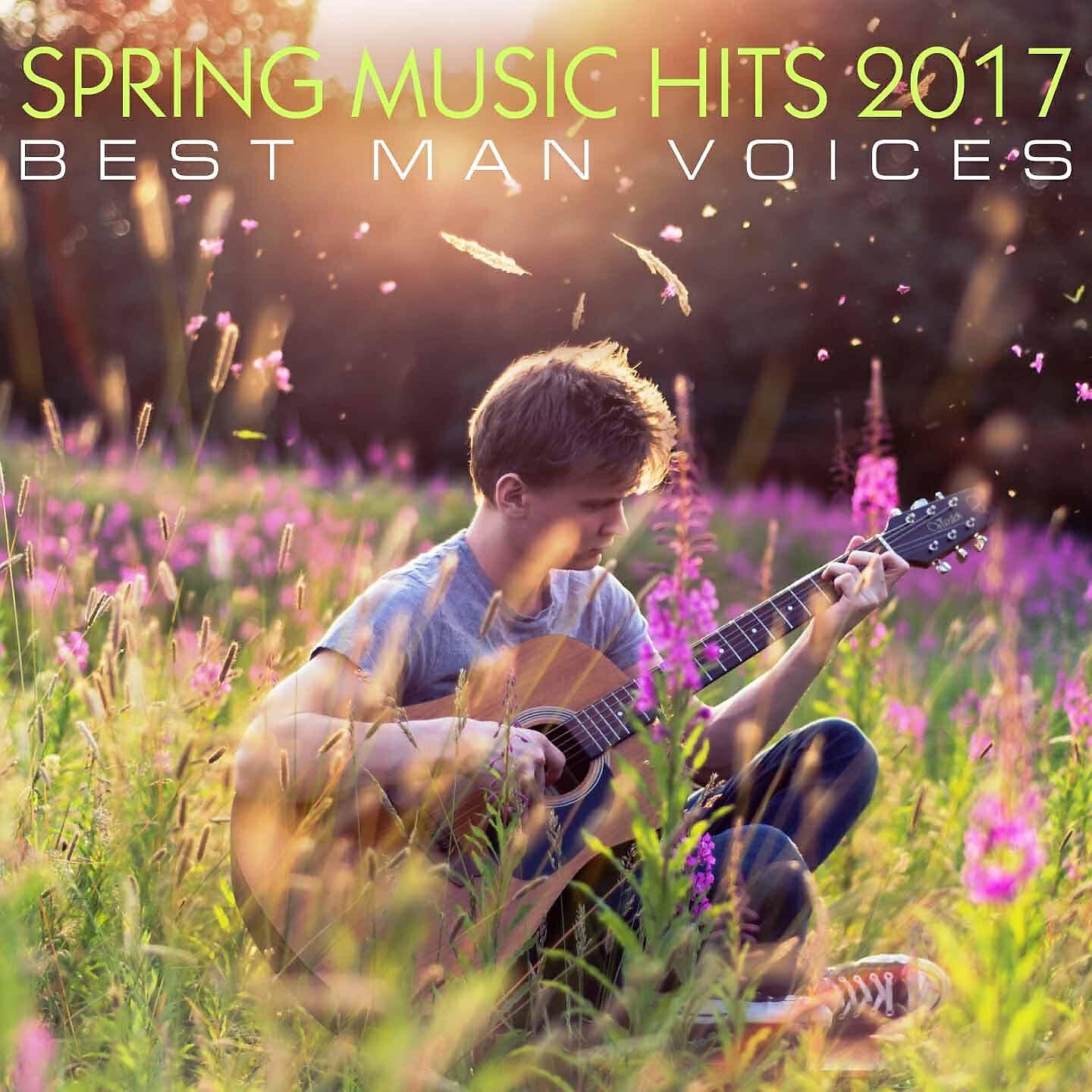 Постер альбома Spring Music Hits 2017