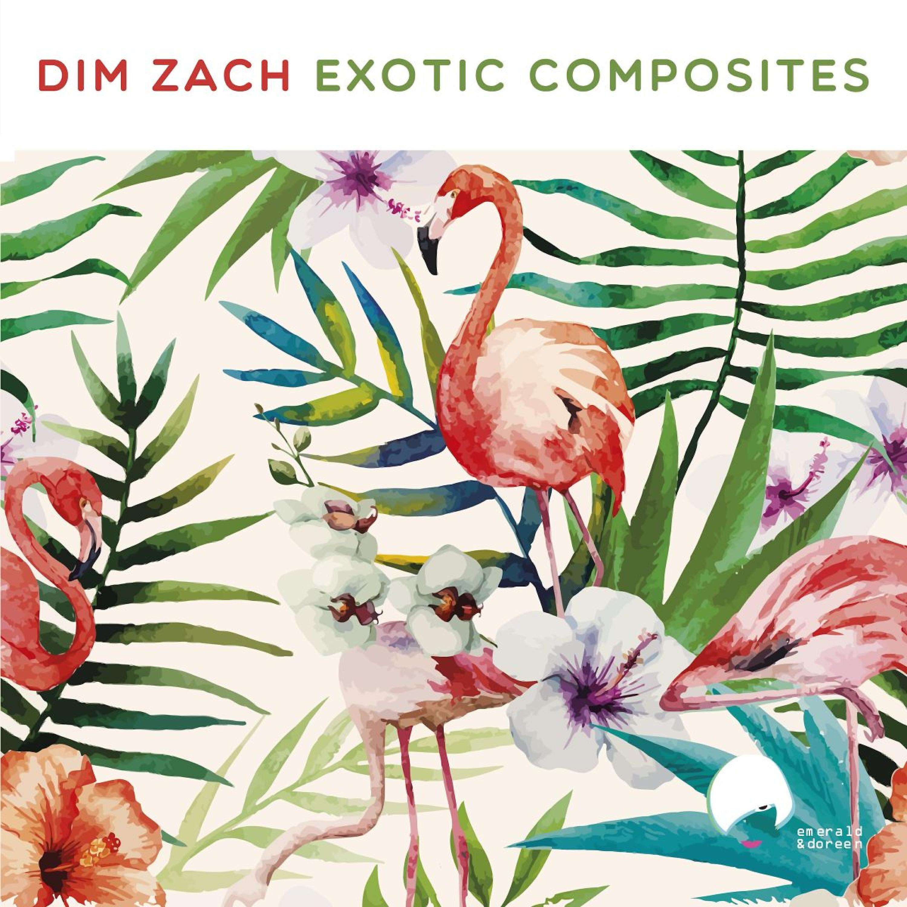 Dim Zach - Uncertain Future