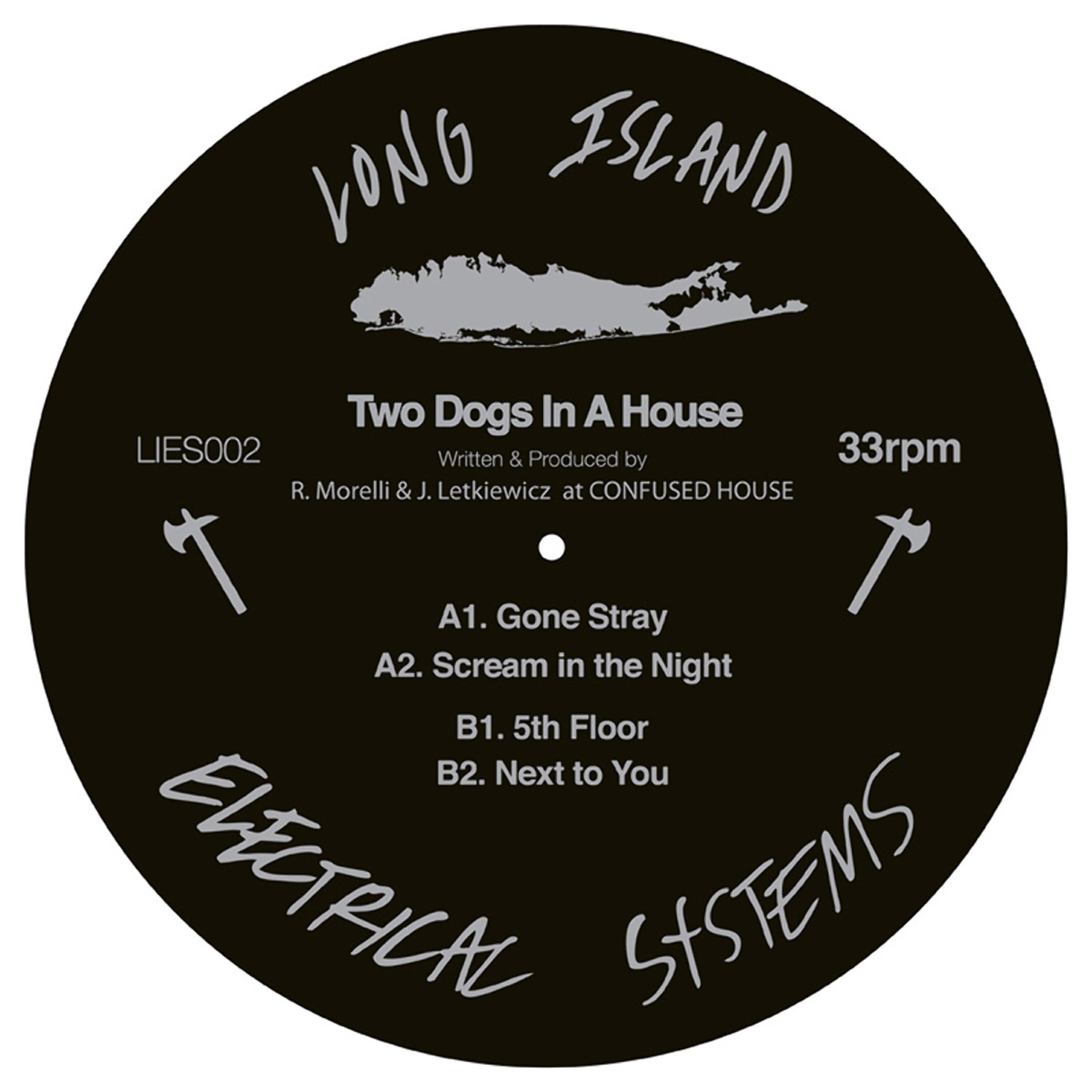 Two Dogs In A House - Next to You