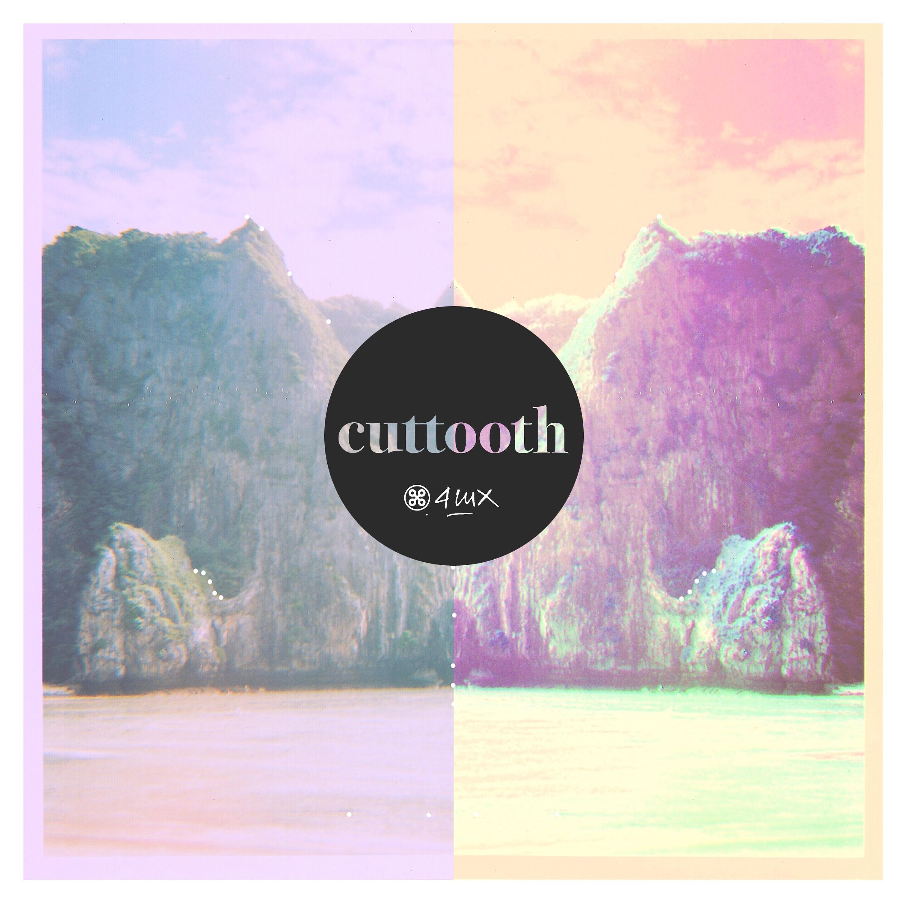 Постер альбома Cuttooth