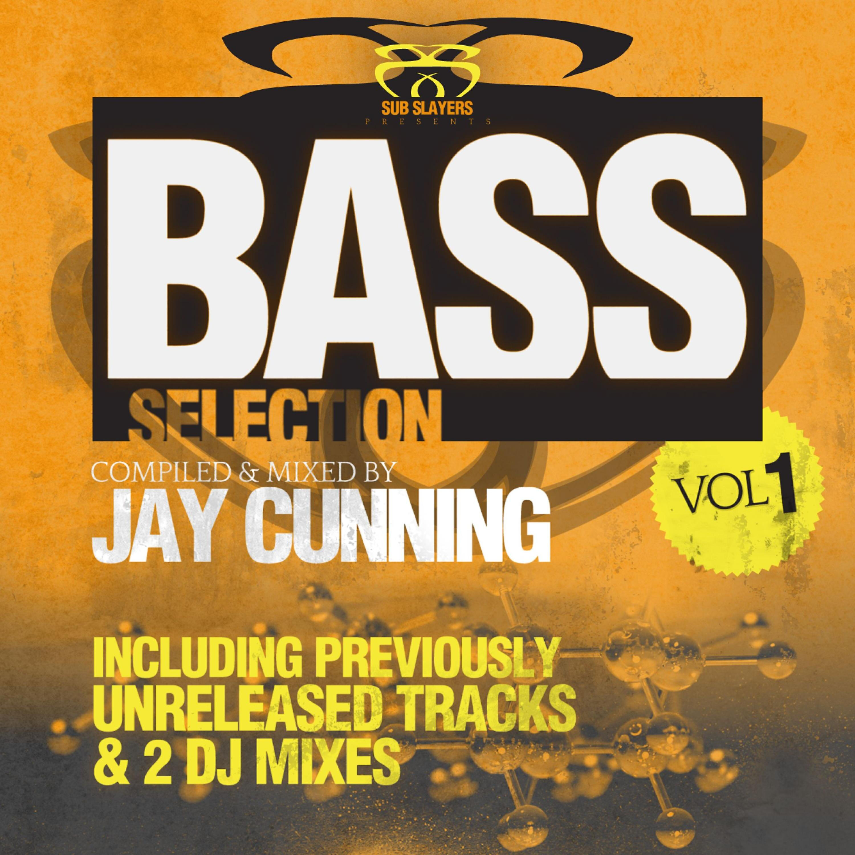 Jinx In Dub - Shaka Sonics (Rob Sparx Remix)