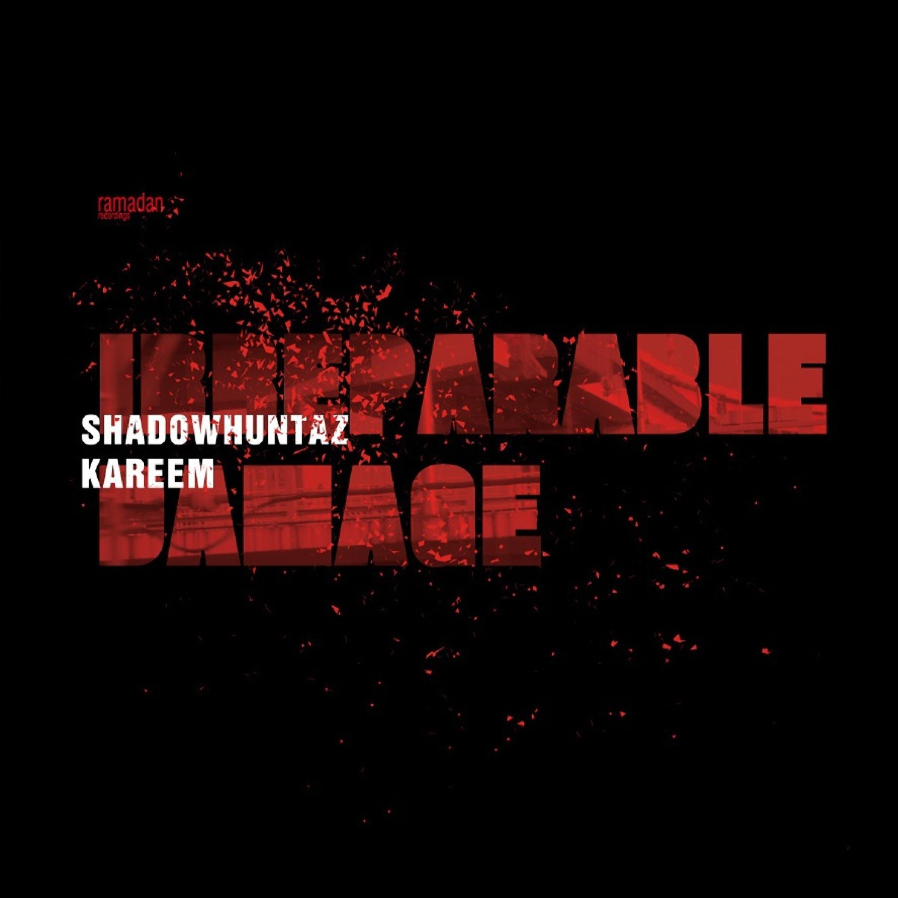 Постер альбома Irreparable Damage