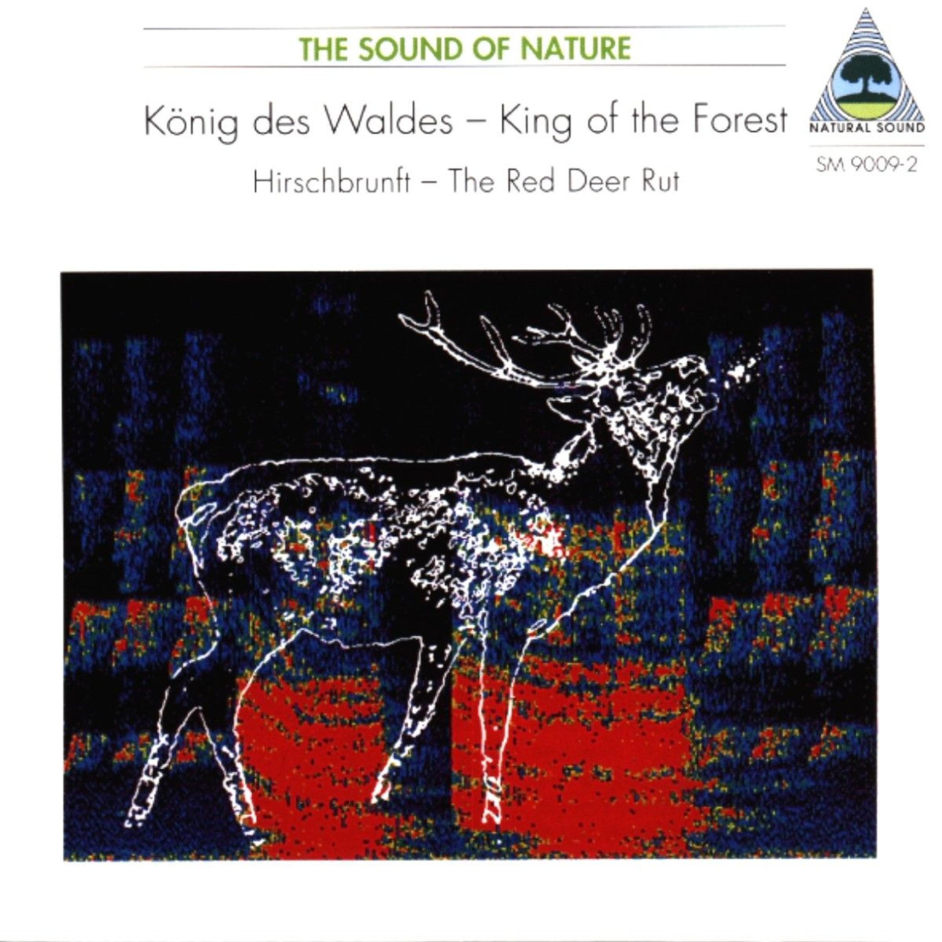 Постер альбома Natural Sound: König des Waldes