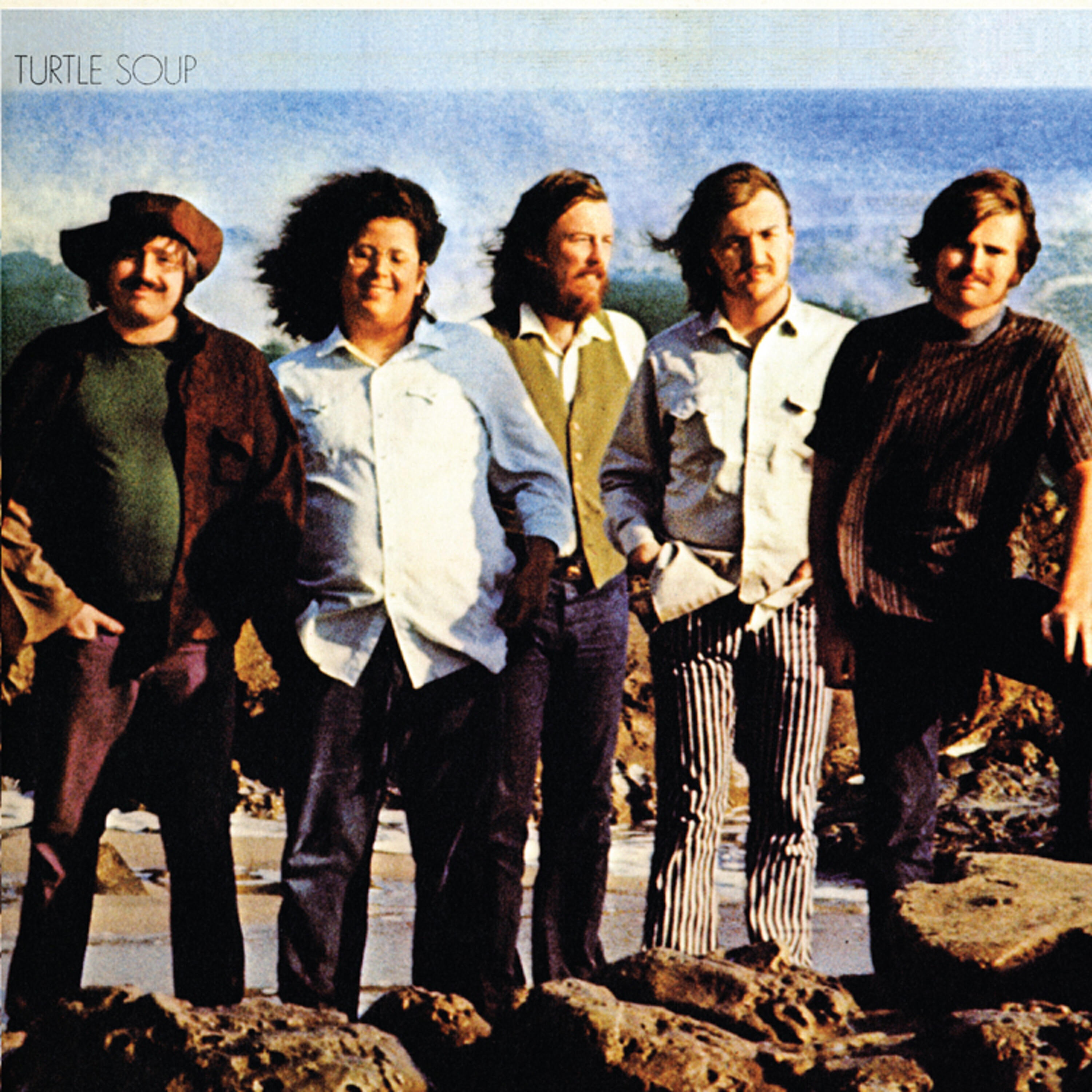 The Turtles - If We Only Had the Time (Remastered)